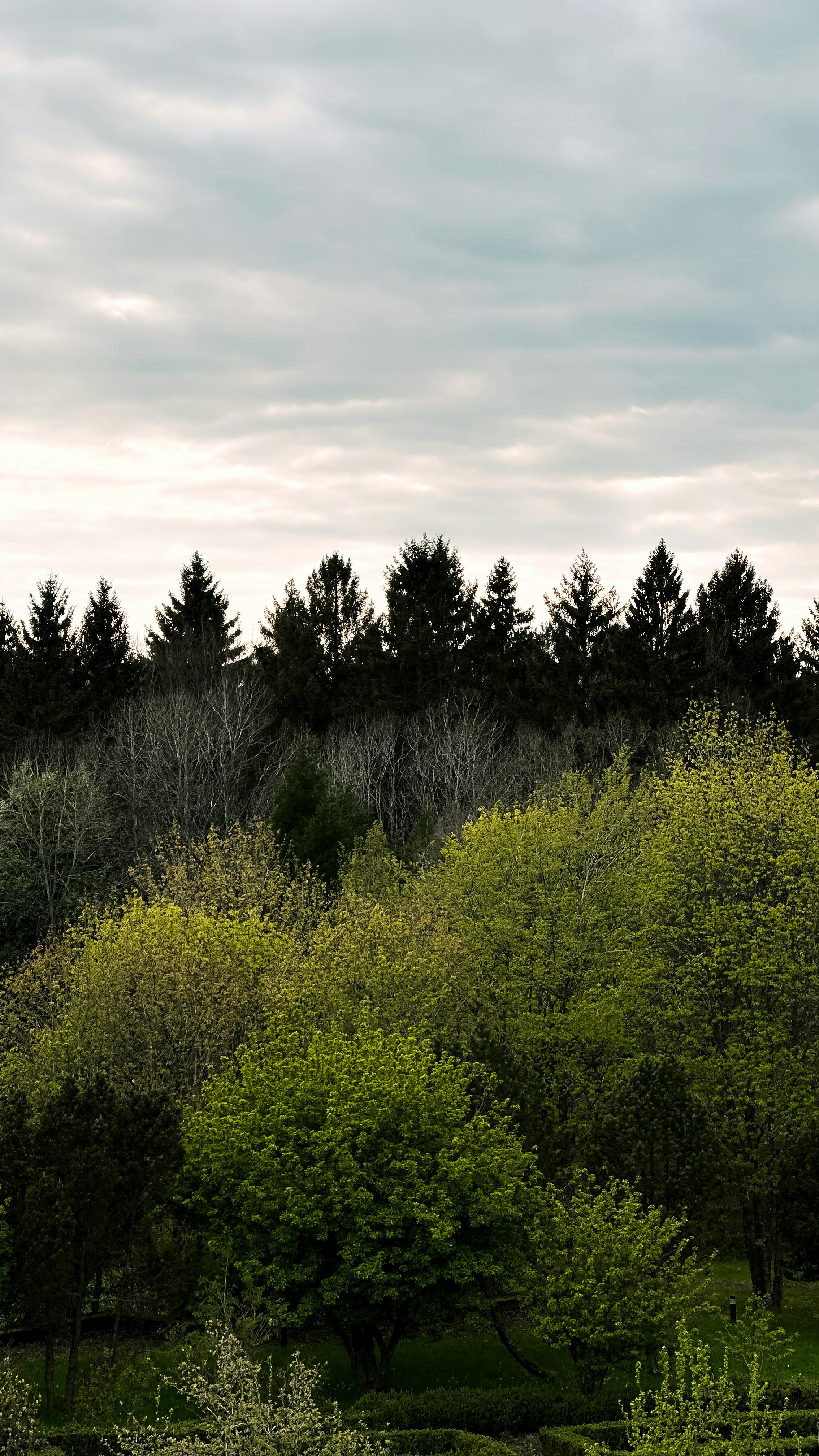 Photo by salahdarwish