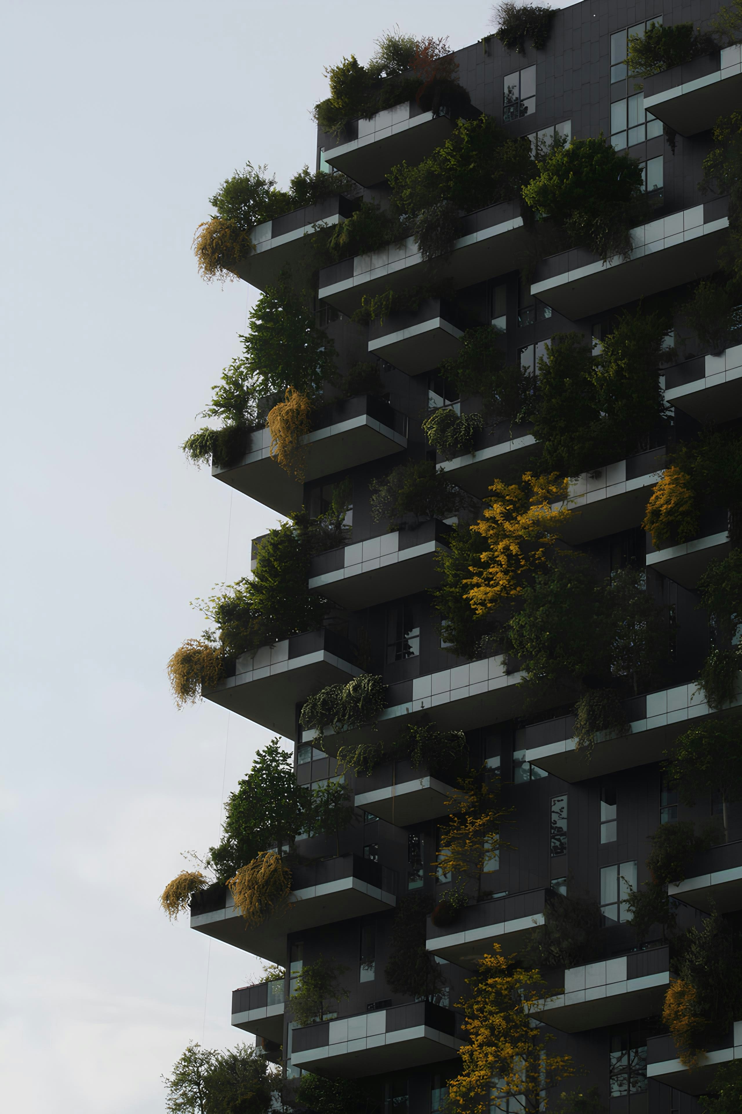 Photo by vladimir_cebotari