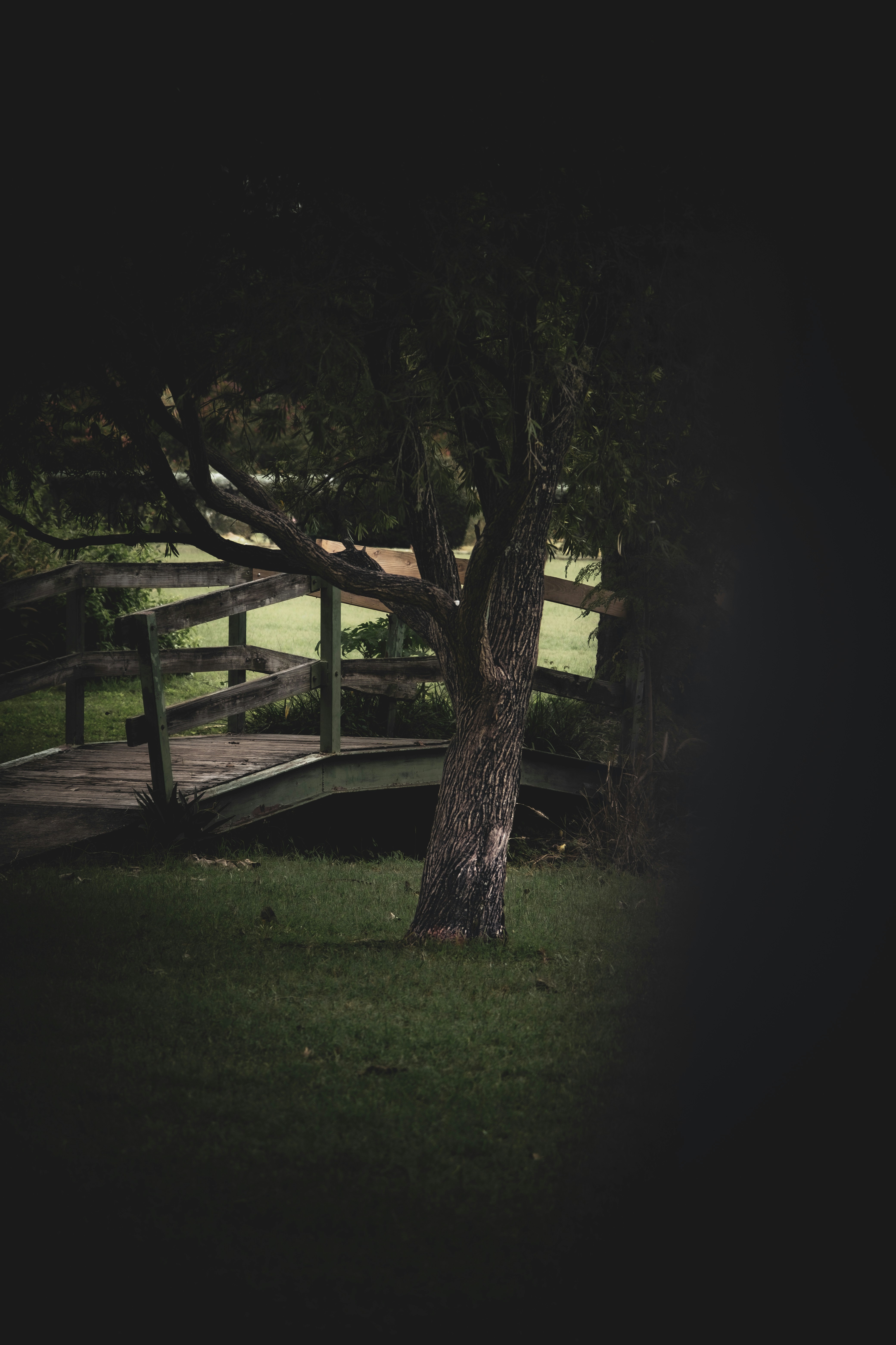 a wooden bridge over a lush green field