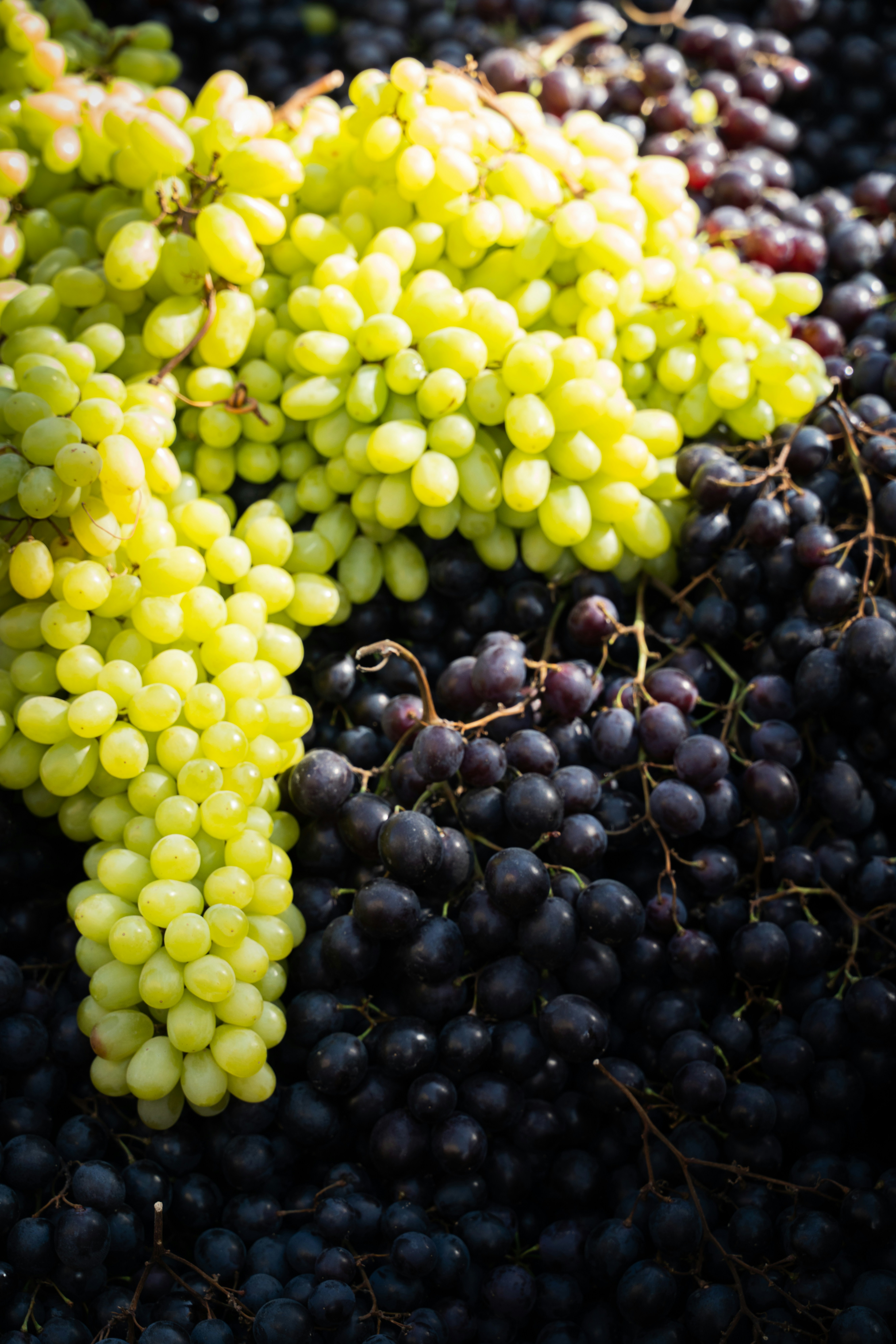 Photo by austin_7792