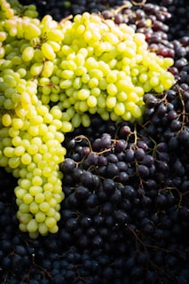 a bunch of grapes sitting on top of each other