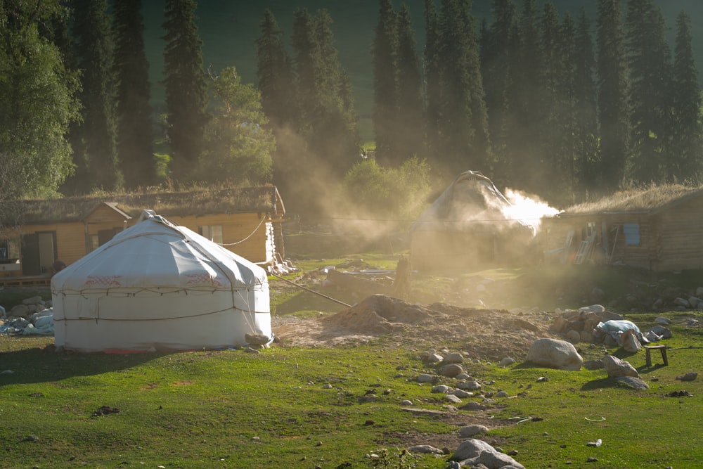 a group of tents in a field with trees in the background