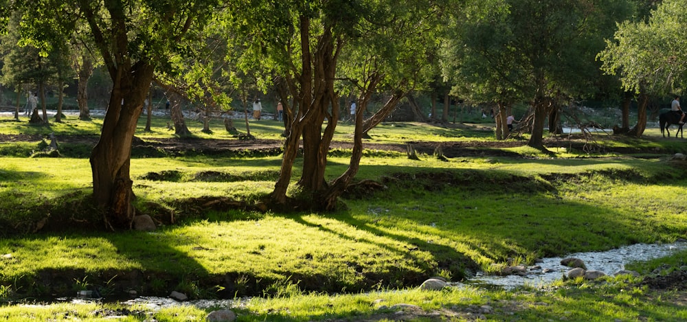 a man riding a horse through a lush green park