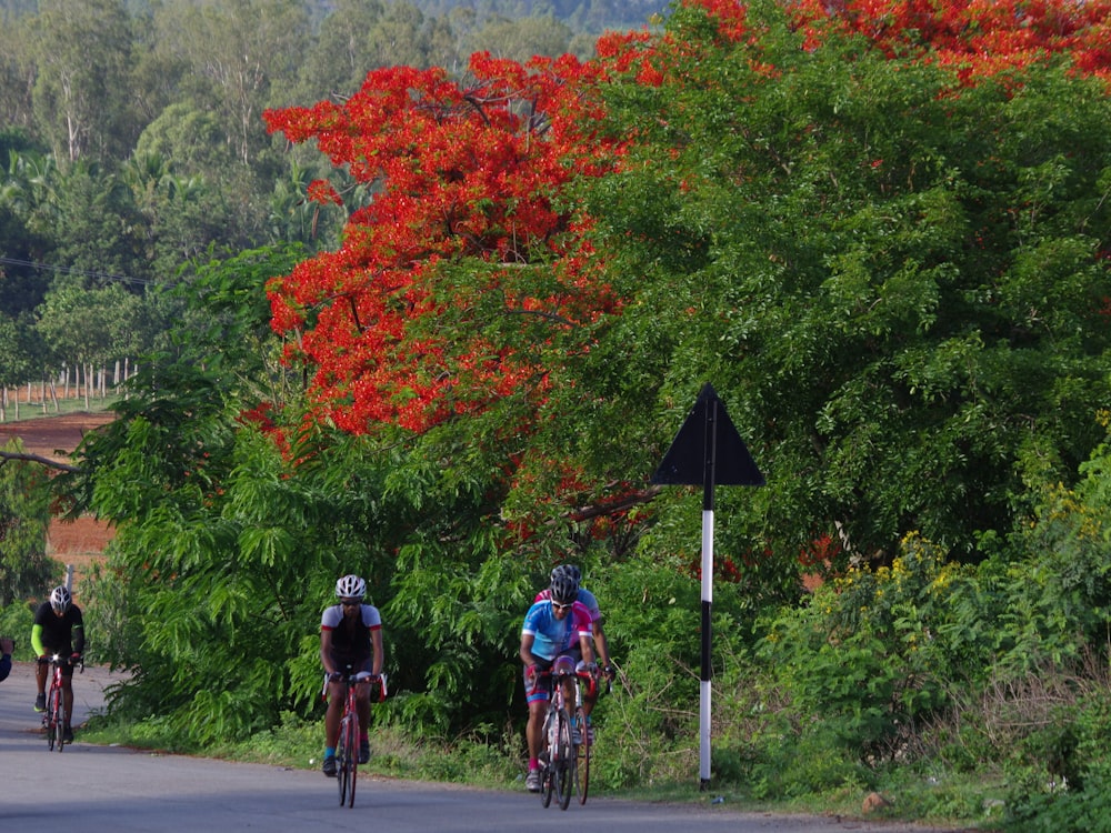 a group of people riding bikes down a road