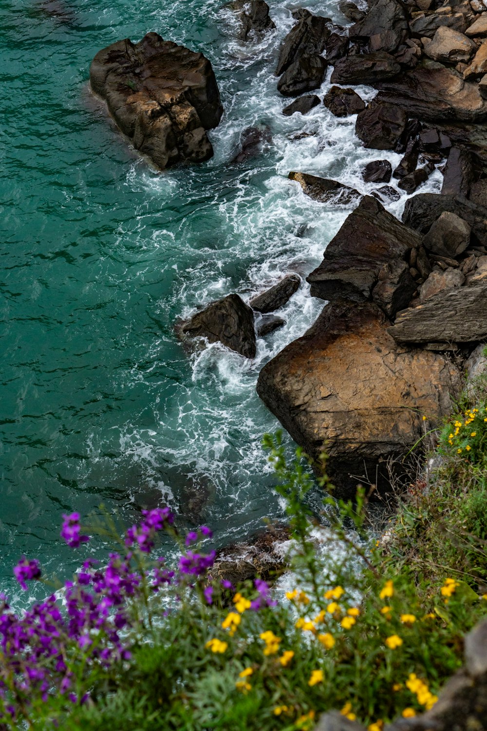 um corpo de água cercado por rochas e flores