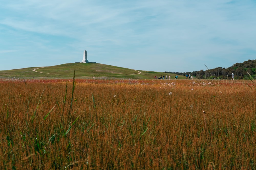 a grassy field with a lighthouse on a hill in the background