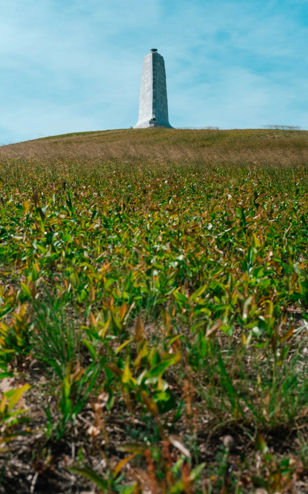 a grassy field with a tall tower on top of it