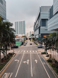a city street with a lot of palm trees
