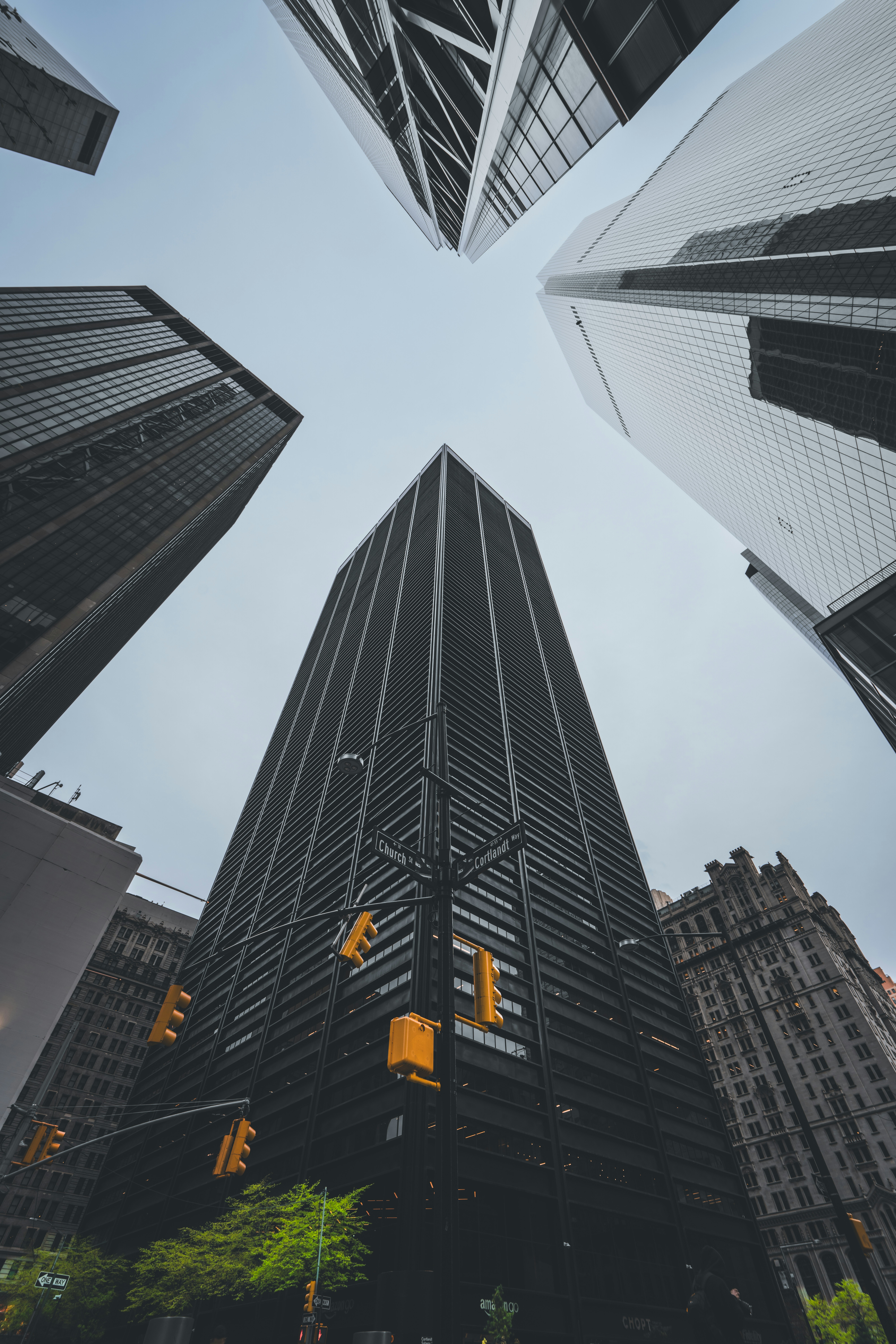looking up at skyscrapers in a city