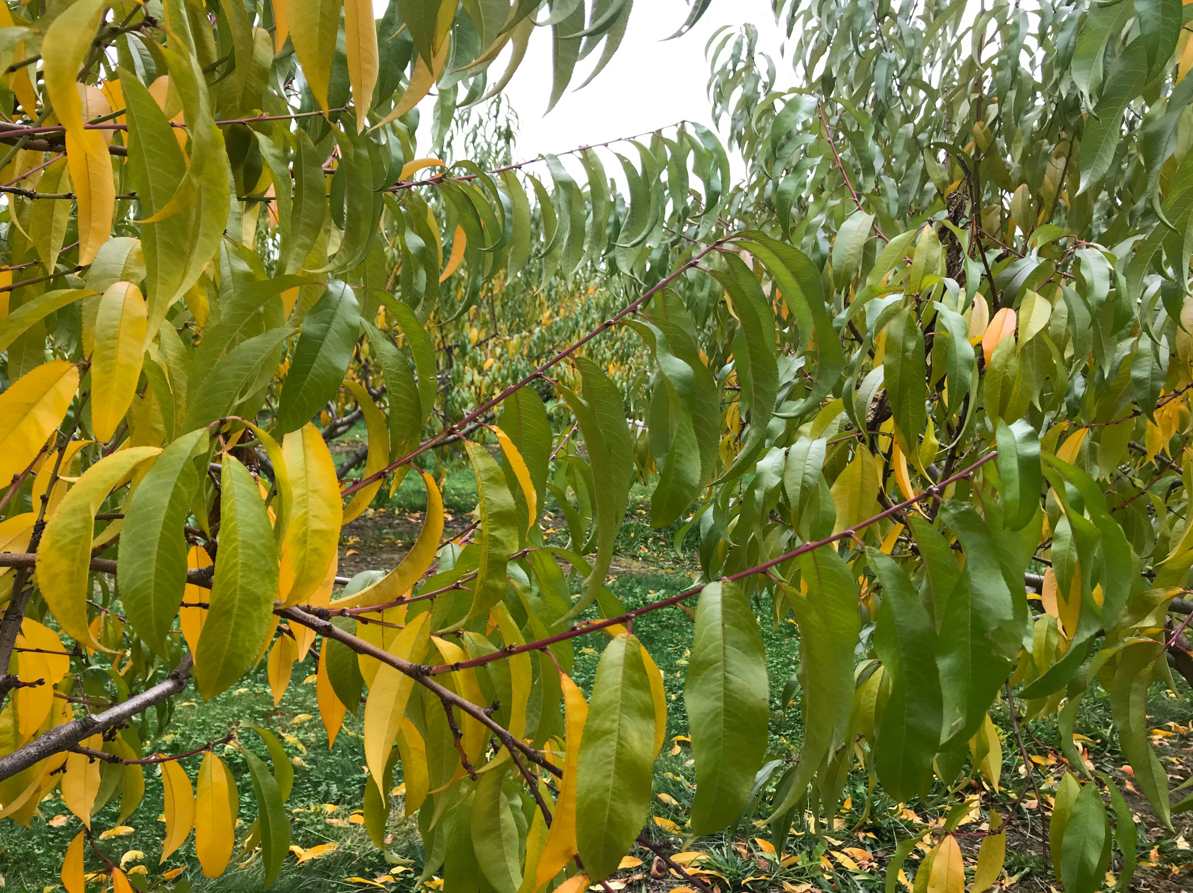 Photo by astro_lex18