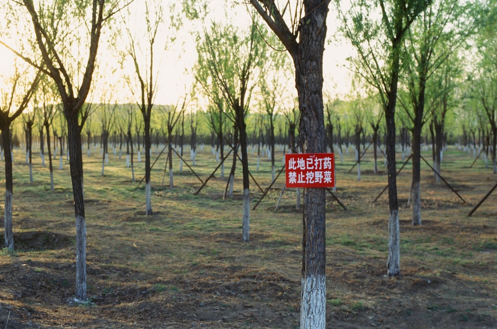 a red sign that is on the side of a tree