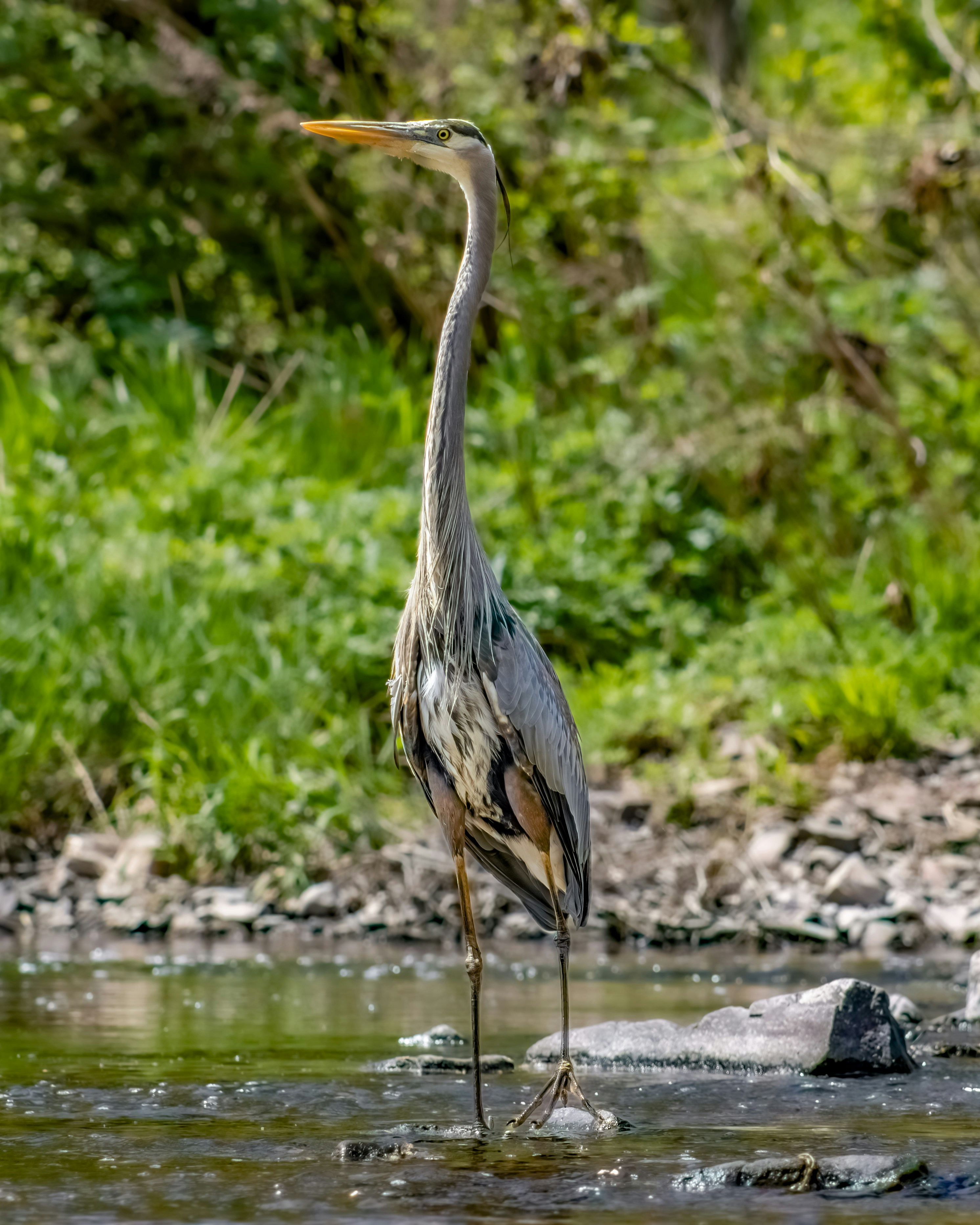 Photo by peterbbryan