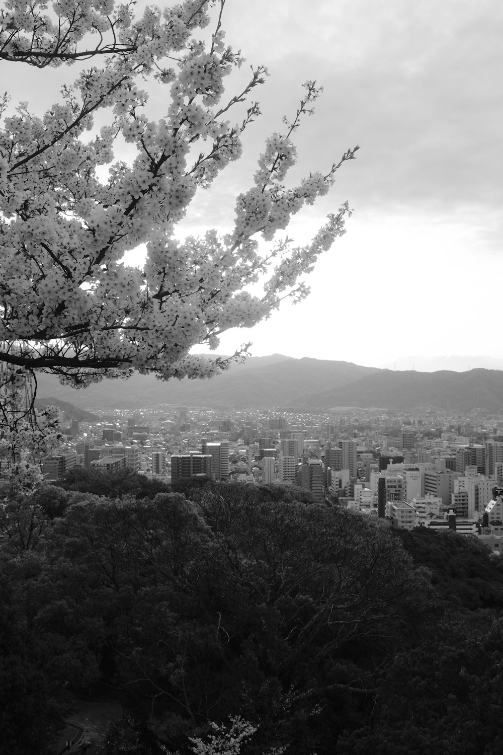 a black and white photo of a city