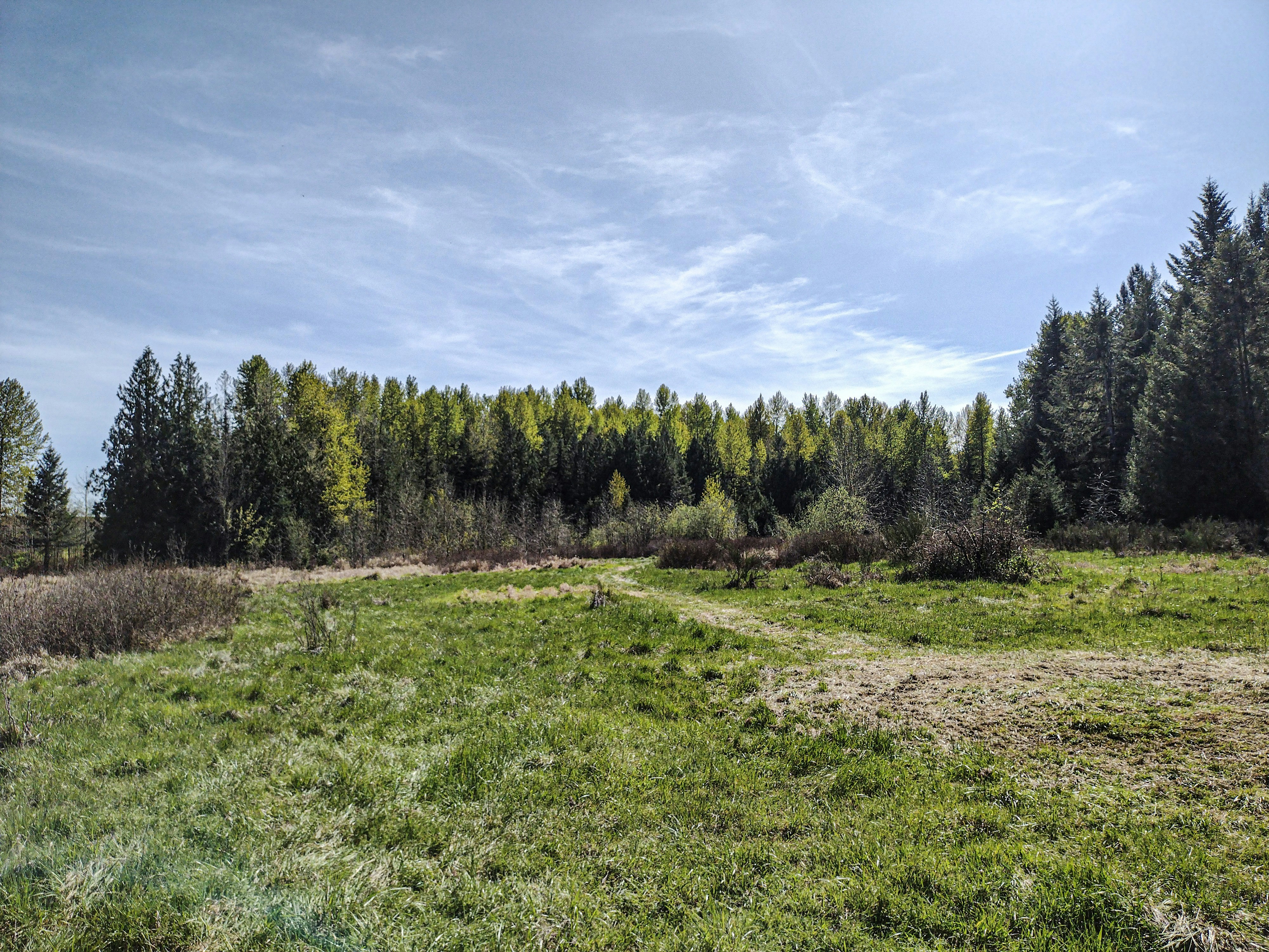 Photo by prphotography262