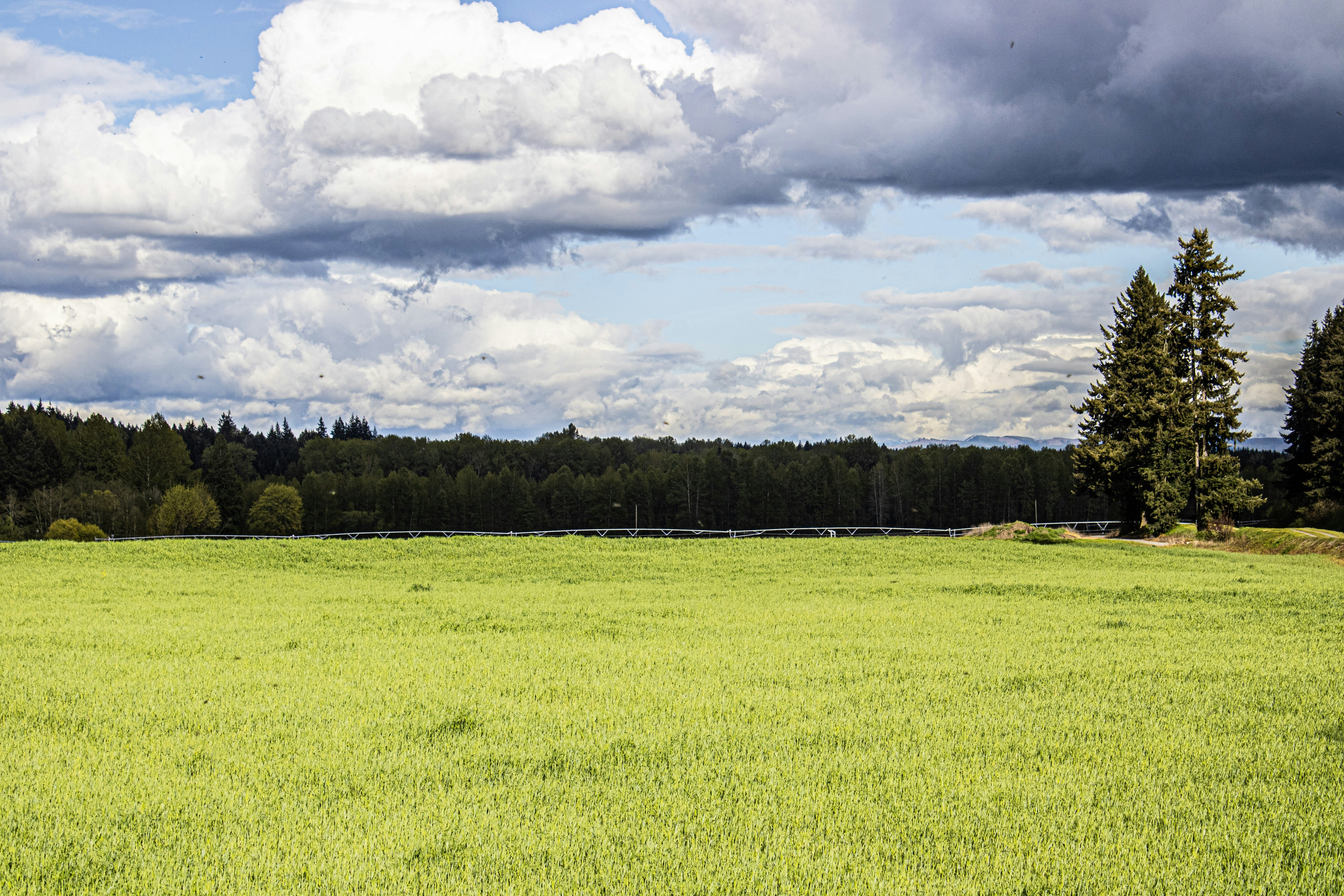 Photo by prphotography262