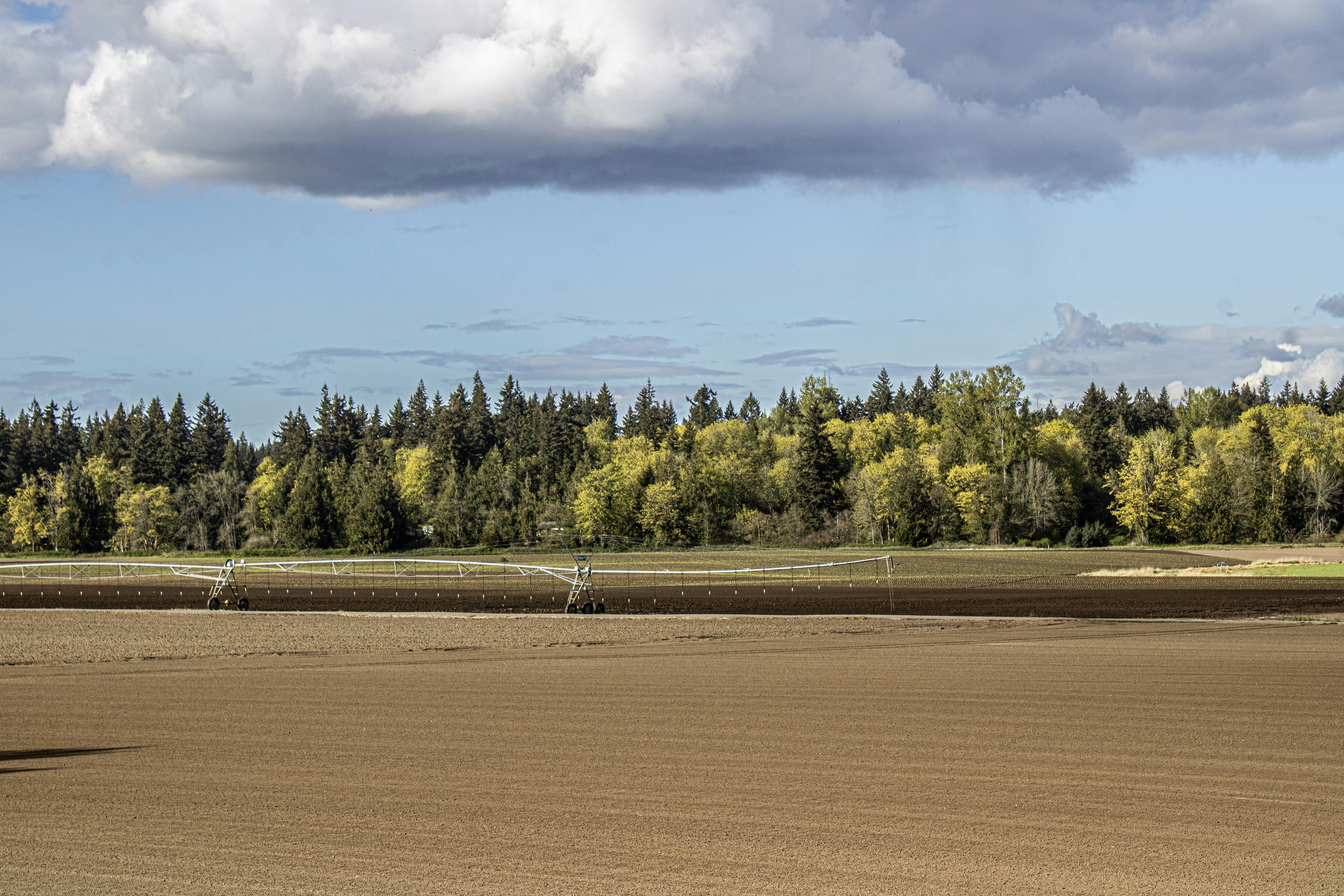 Photo by prphotography262