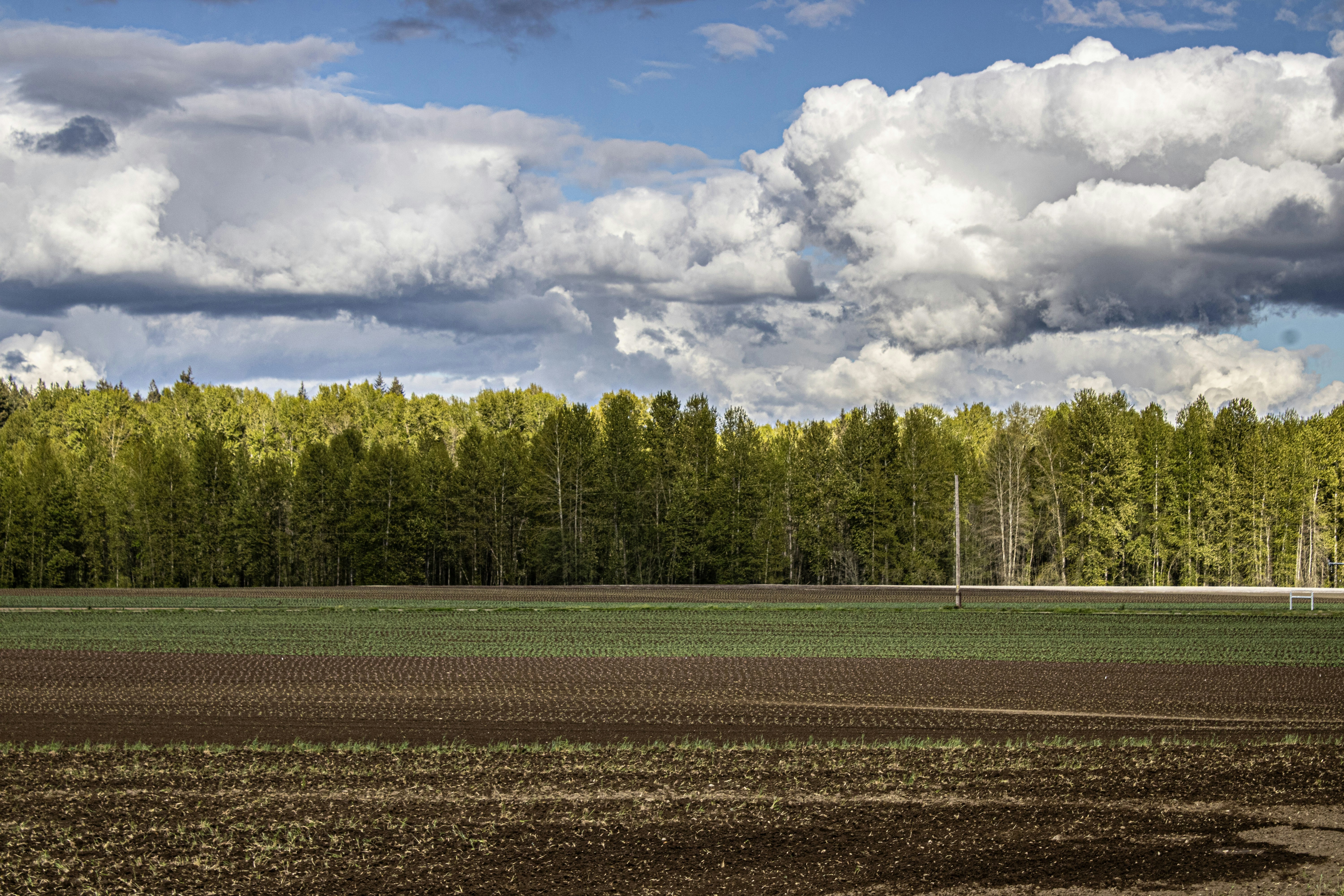 Photo by prphotography262