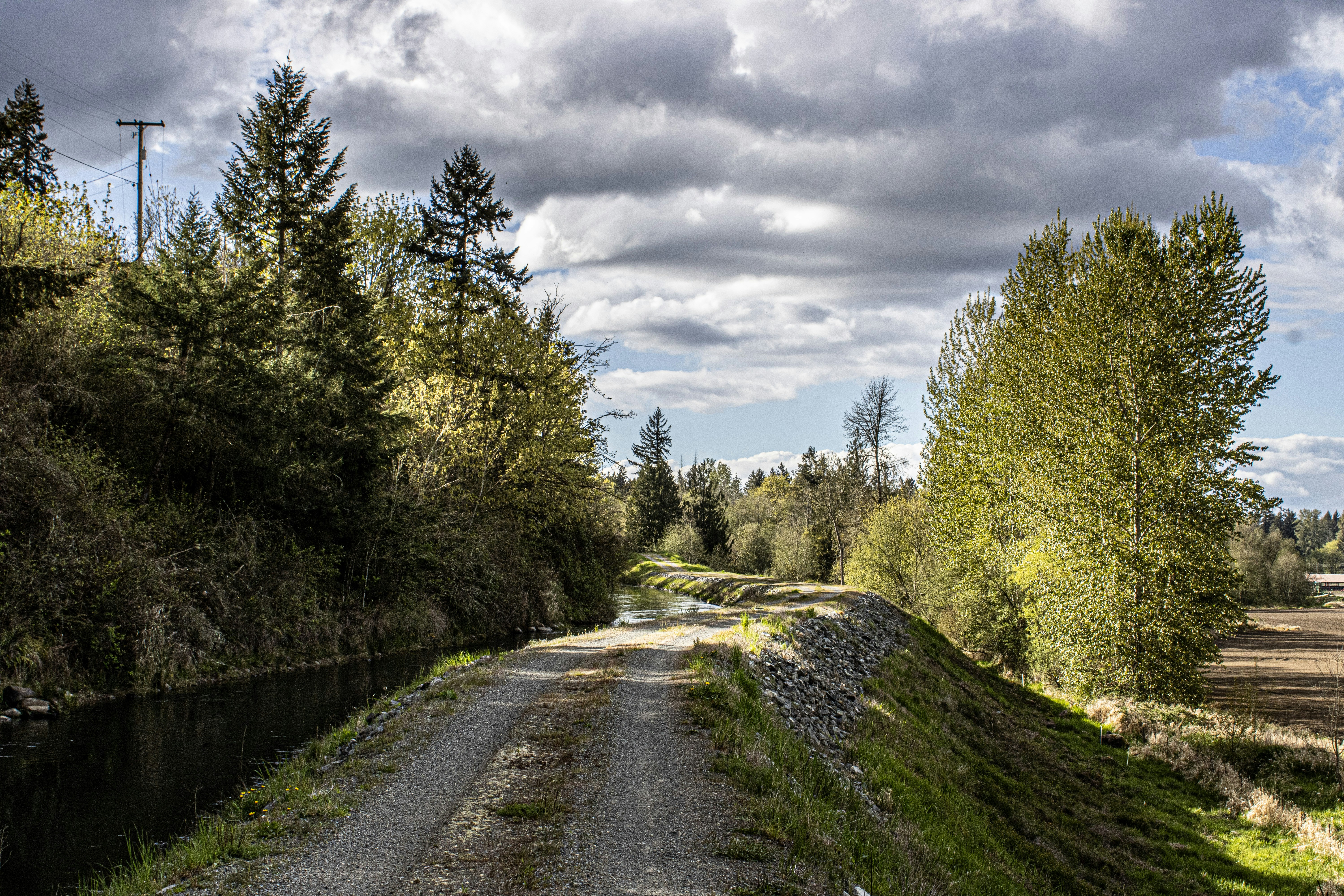 Photo by prphotography262