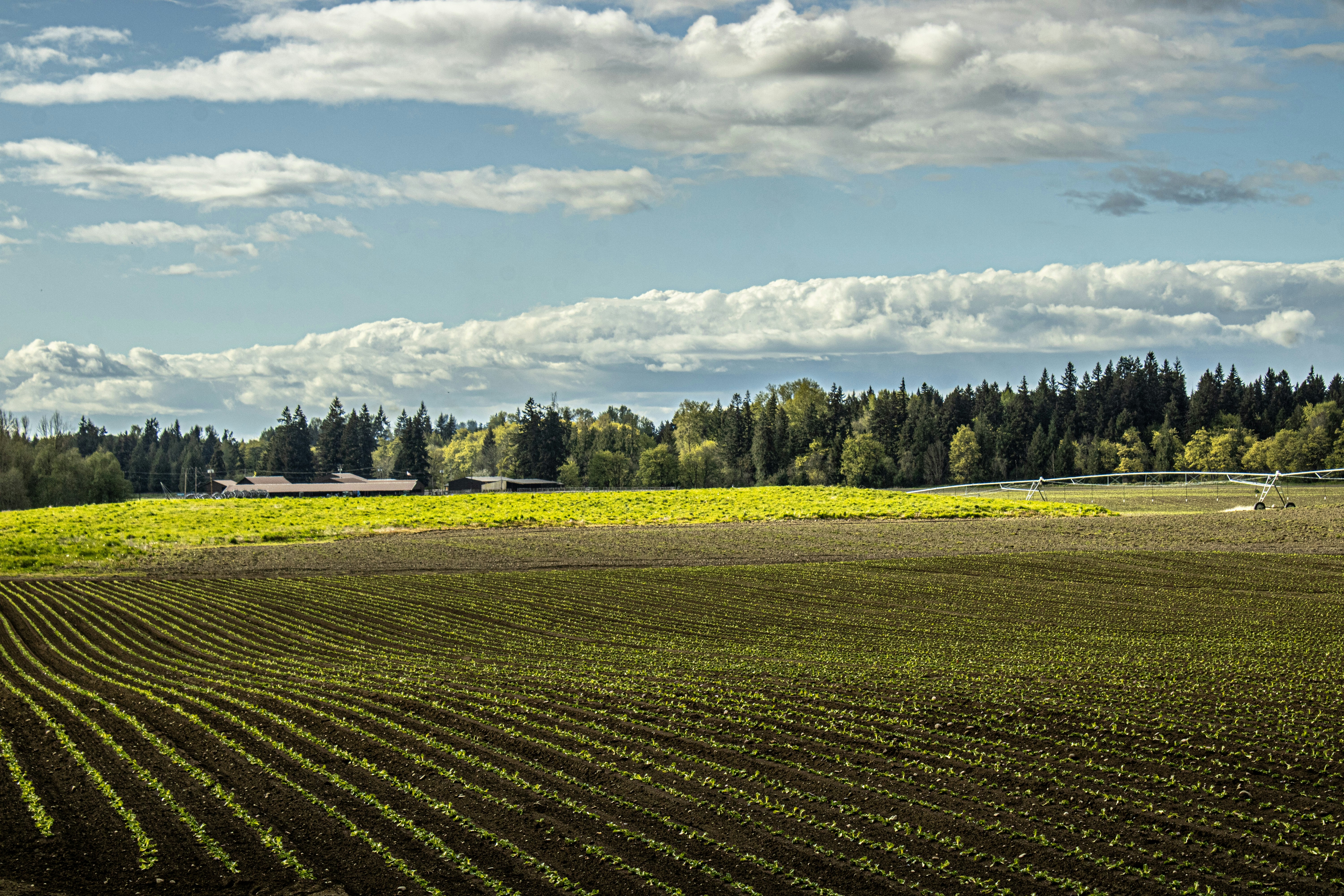 Photo by prphotography262