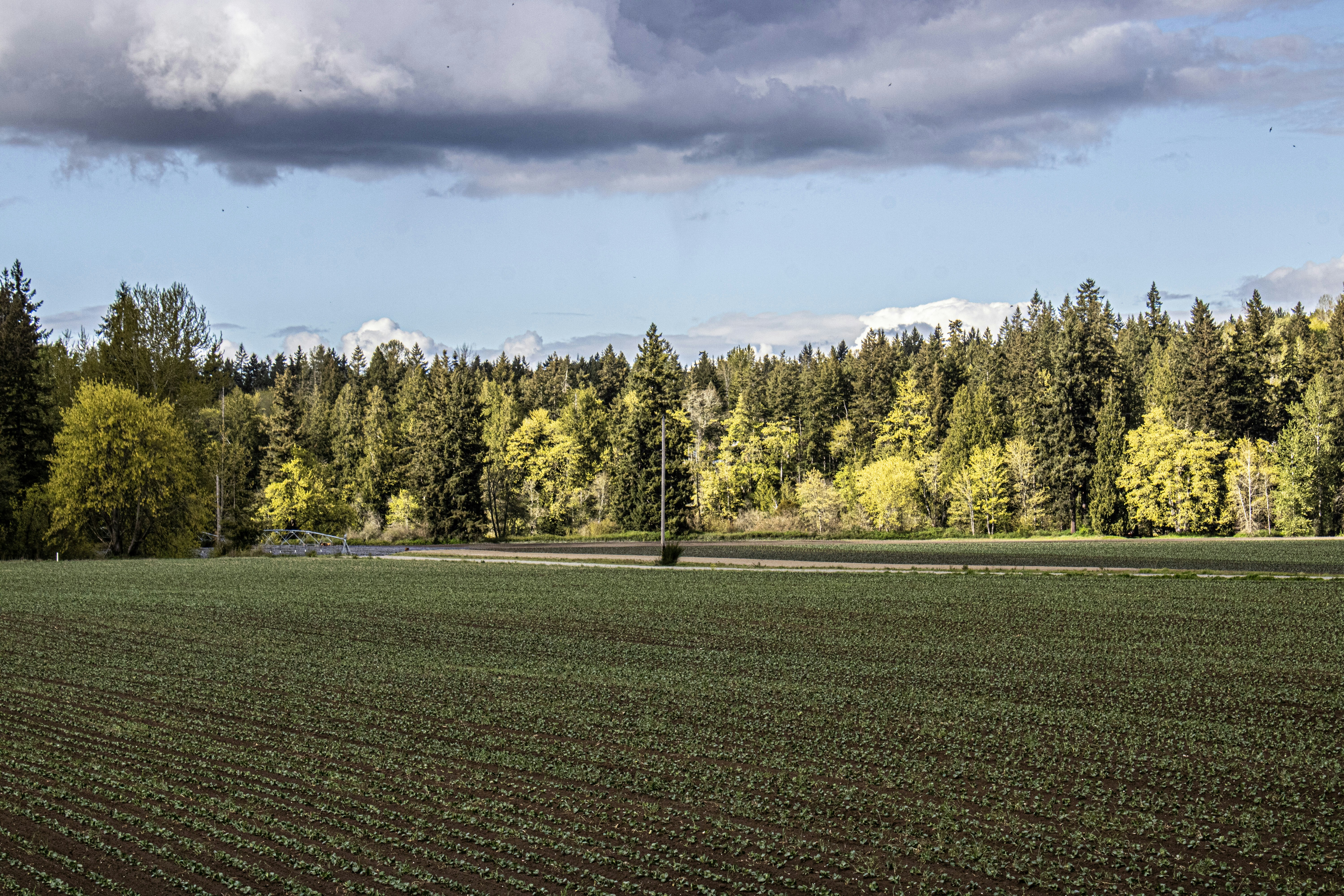 Photo by prphotography262