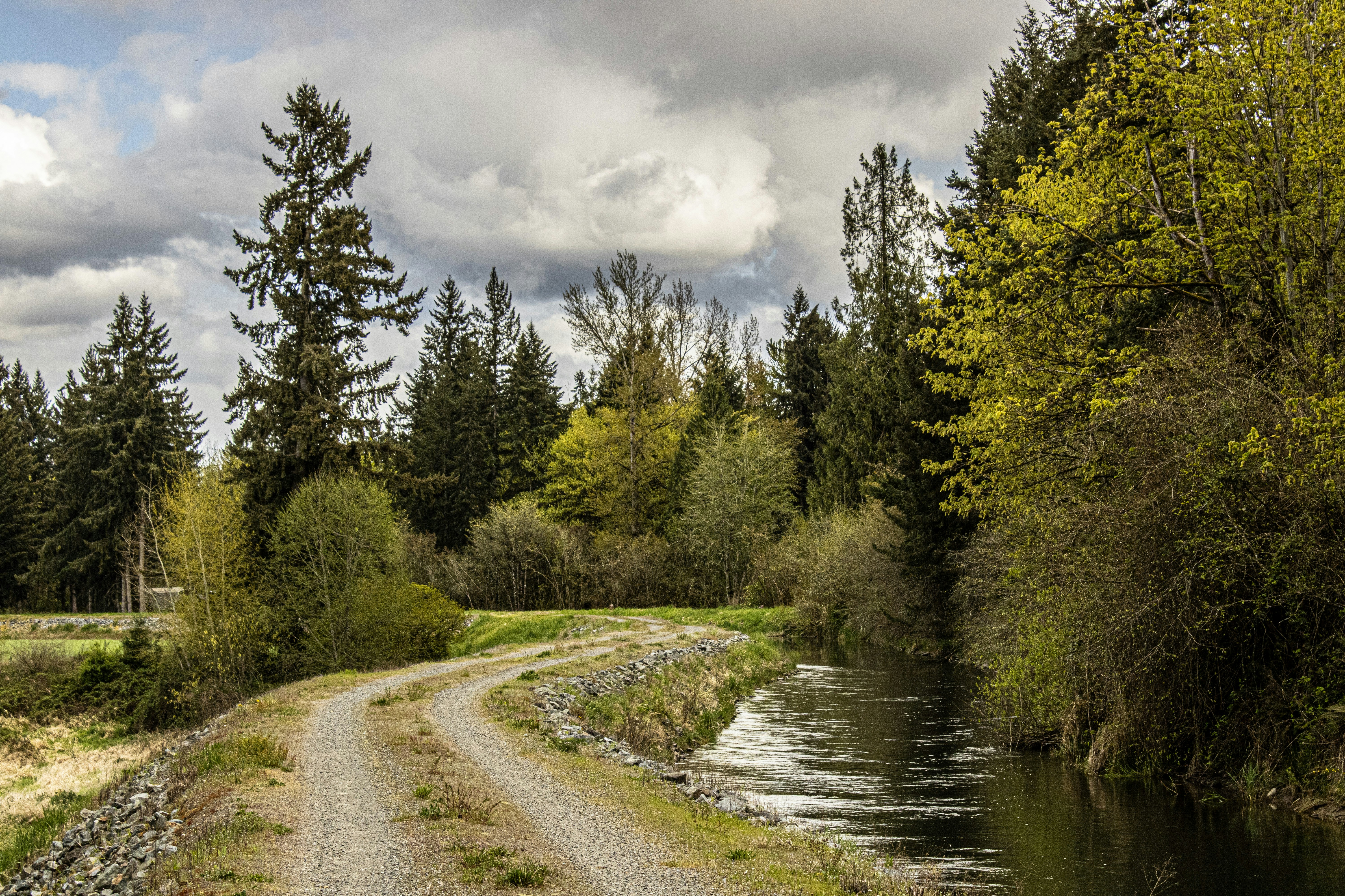 Photo by prphotography262