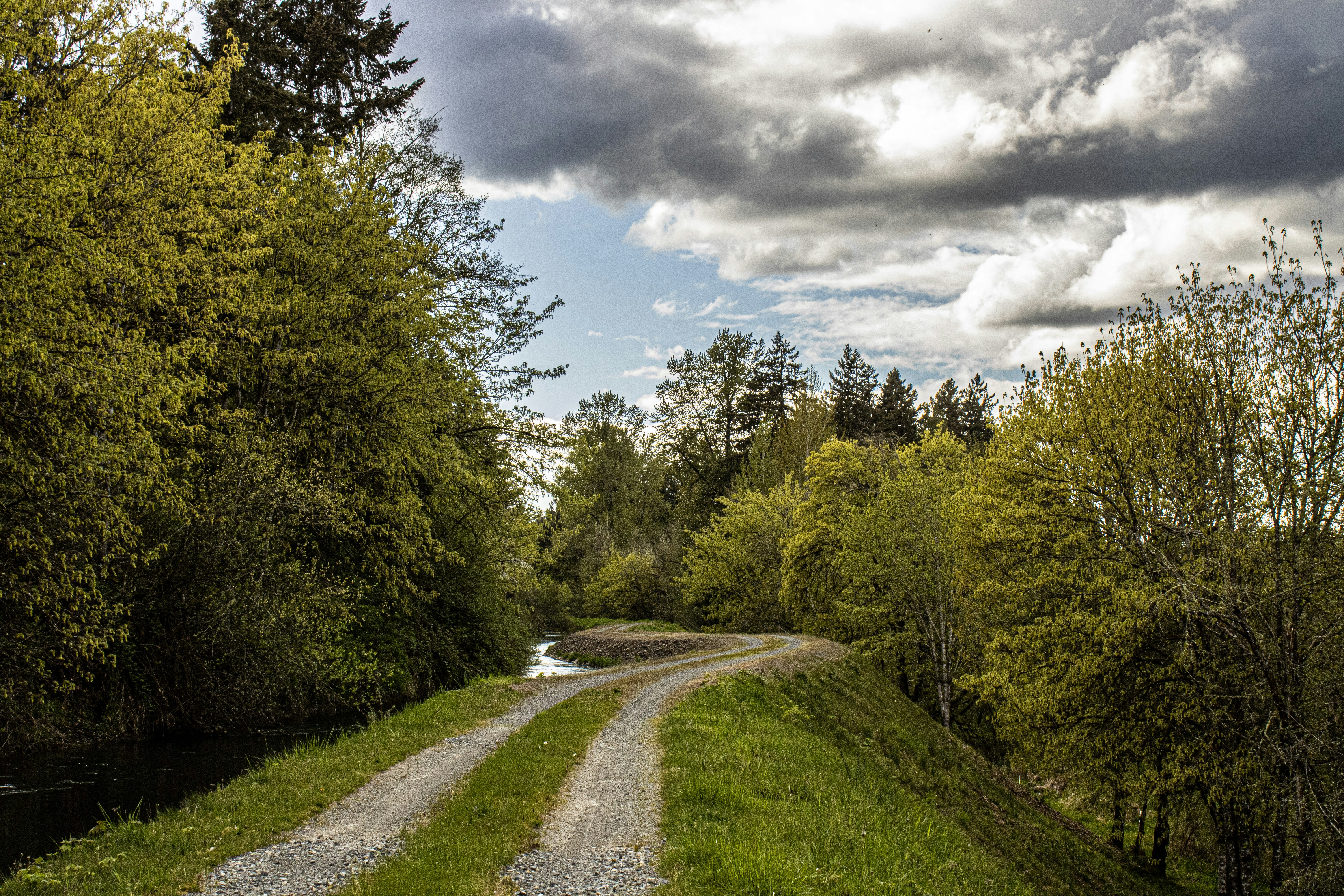 Photo by prphotography262