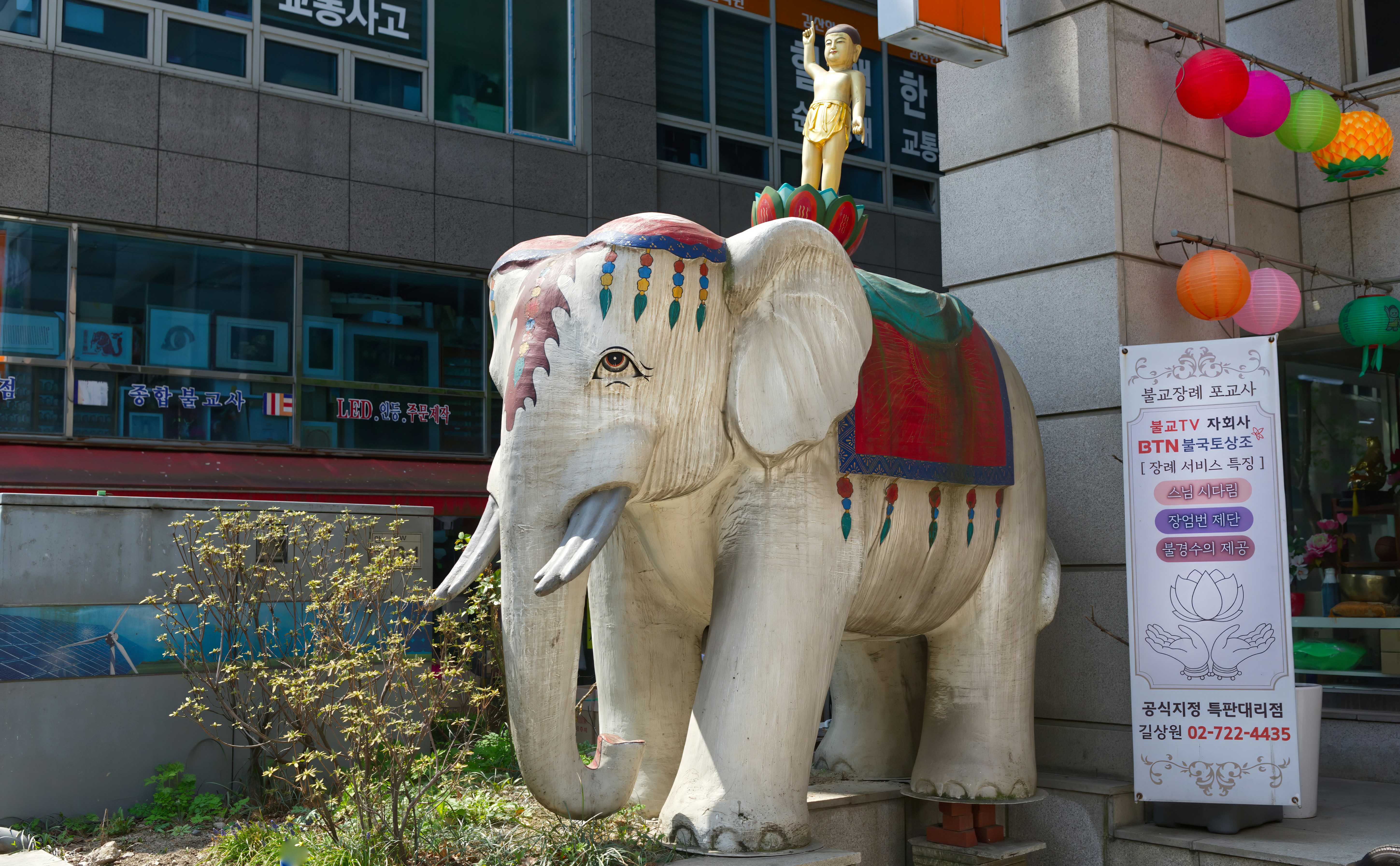 Another White Elephant