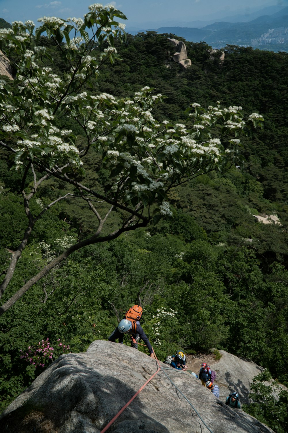 a group of people climbing up the side of a mountain