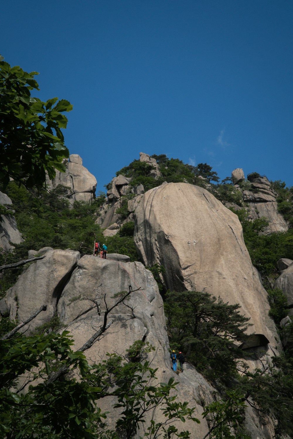 a group of people climbing up the side of a mountain