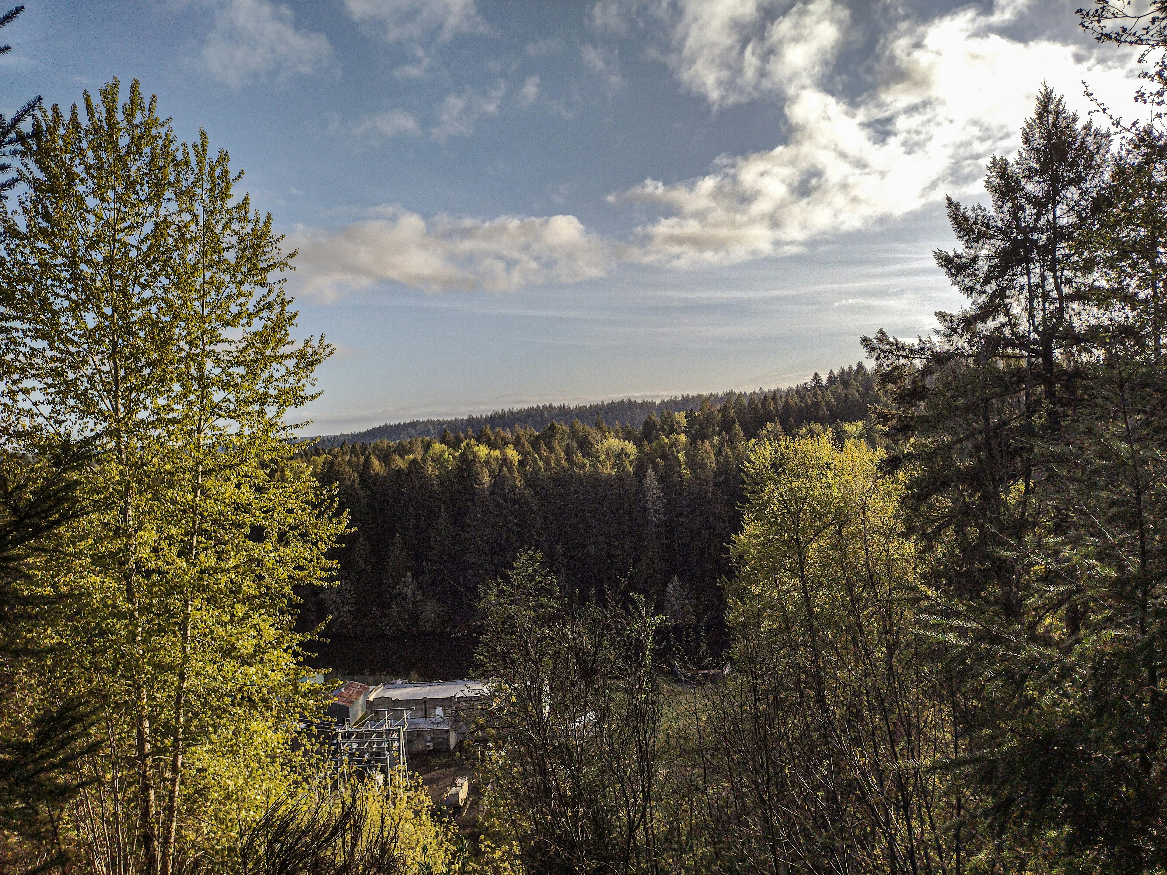 Photo by prphotography262