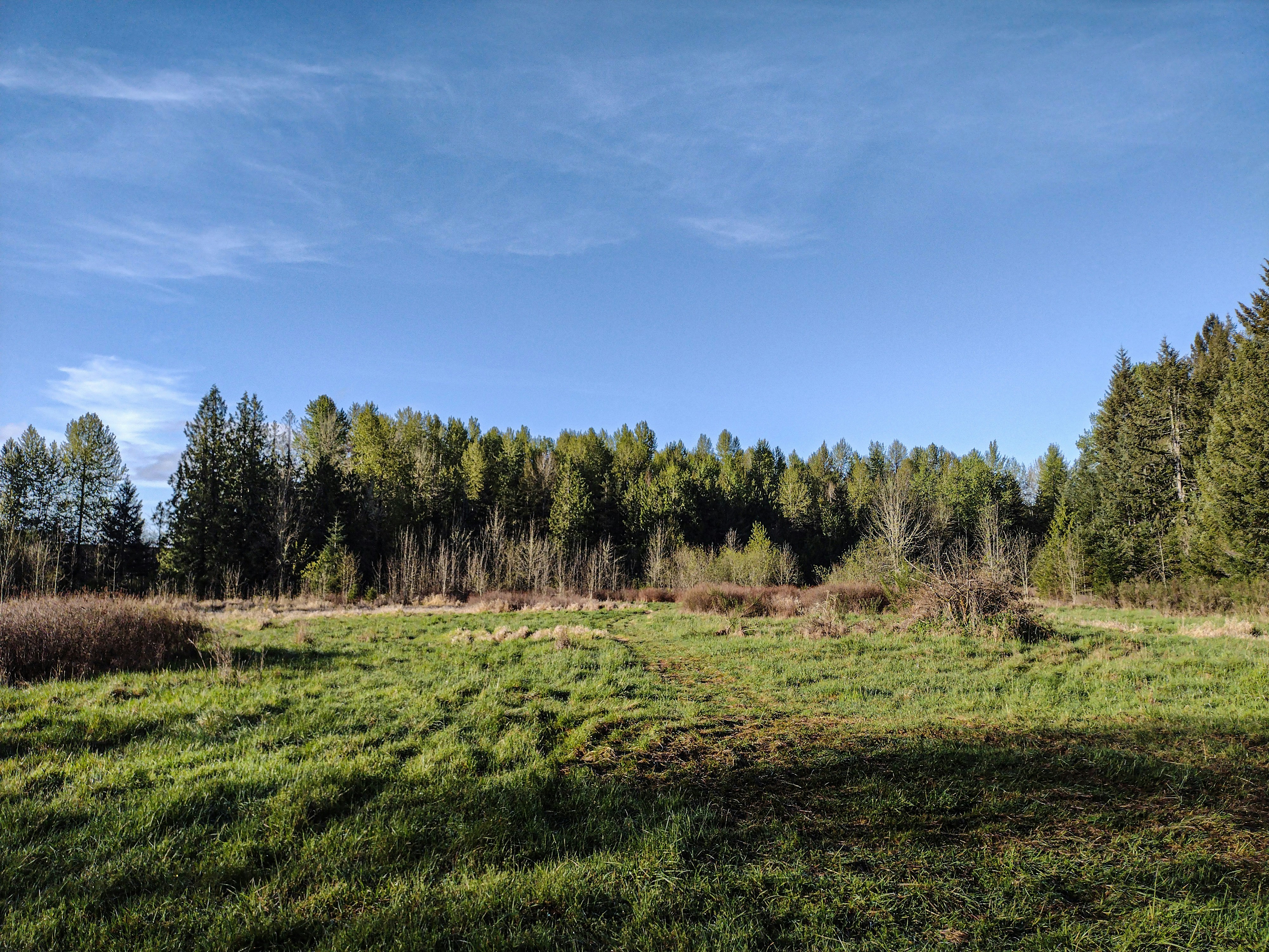 Photo by prphotography262