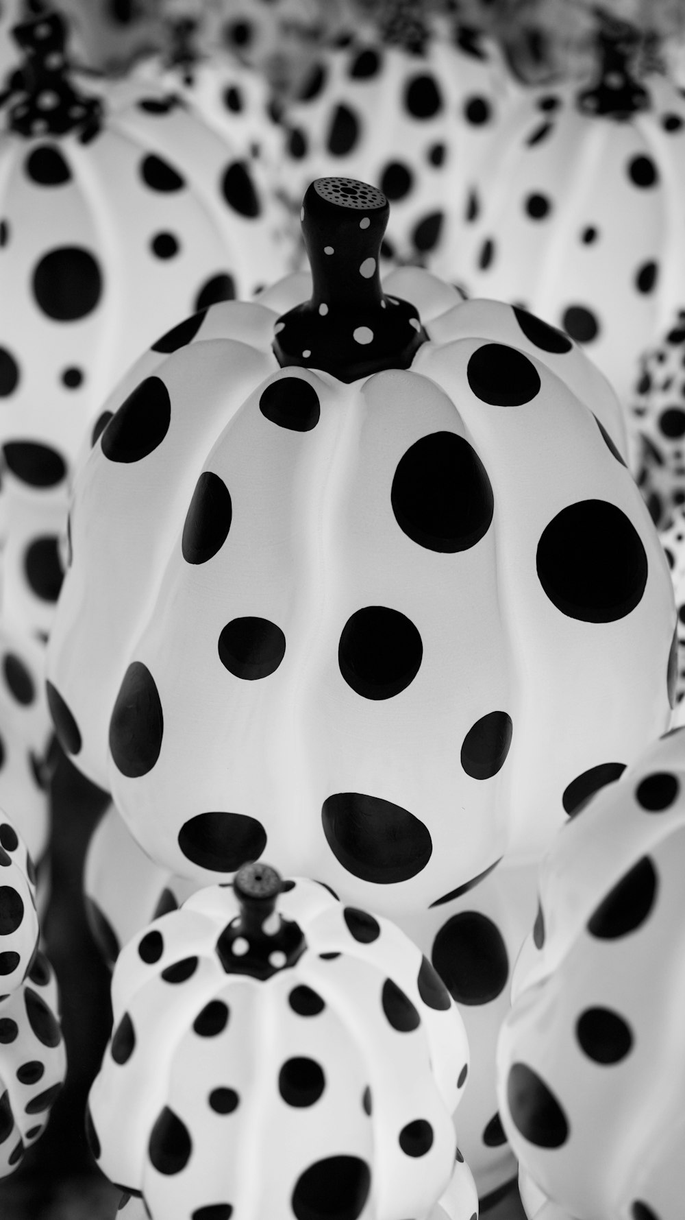 a black and white photo of polka dot pumpkins