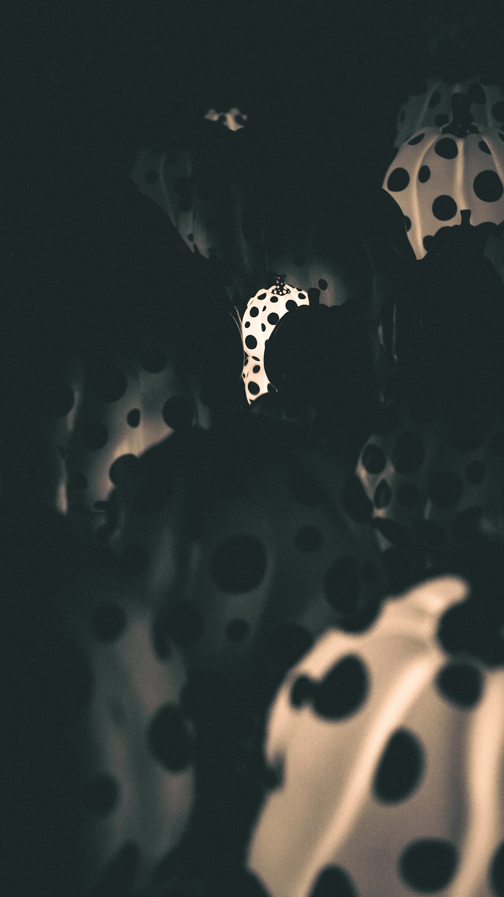 a black and white photo of polka dot umbrellas