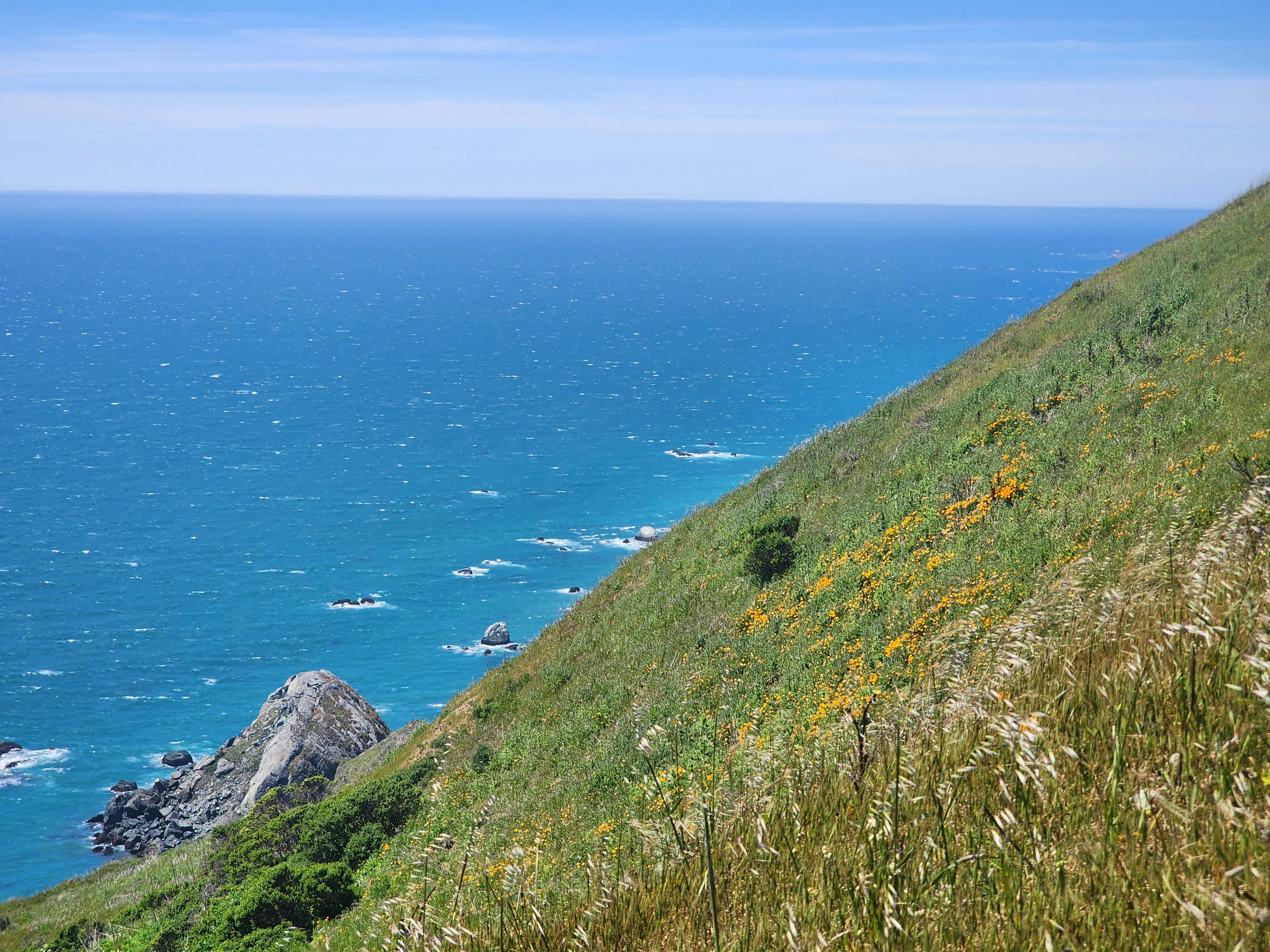 Photo by estephens72