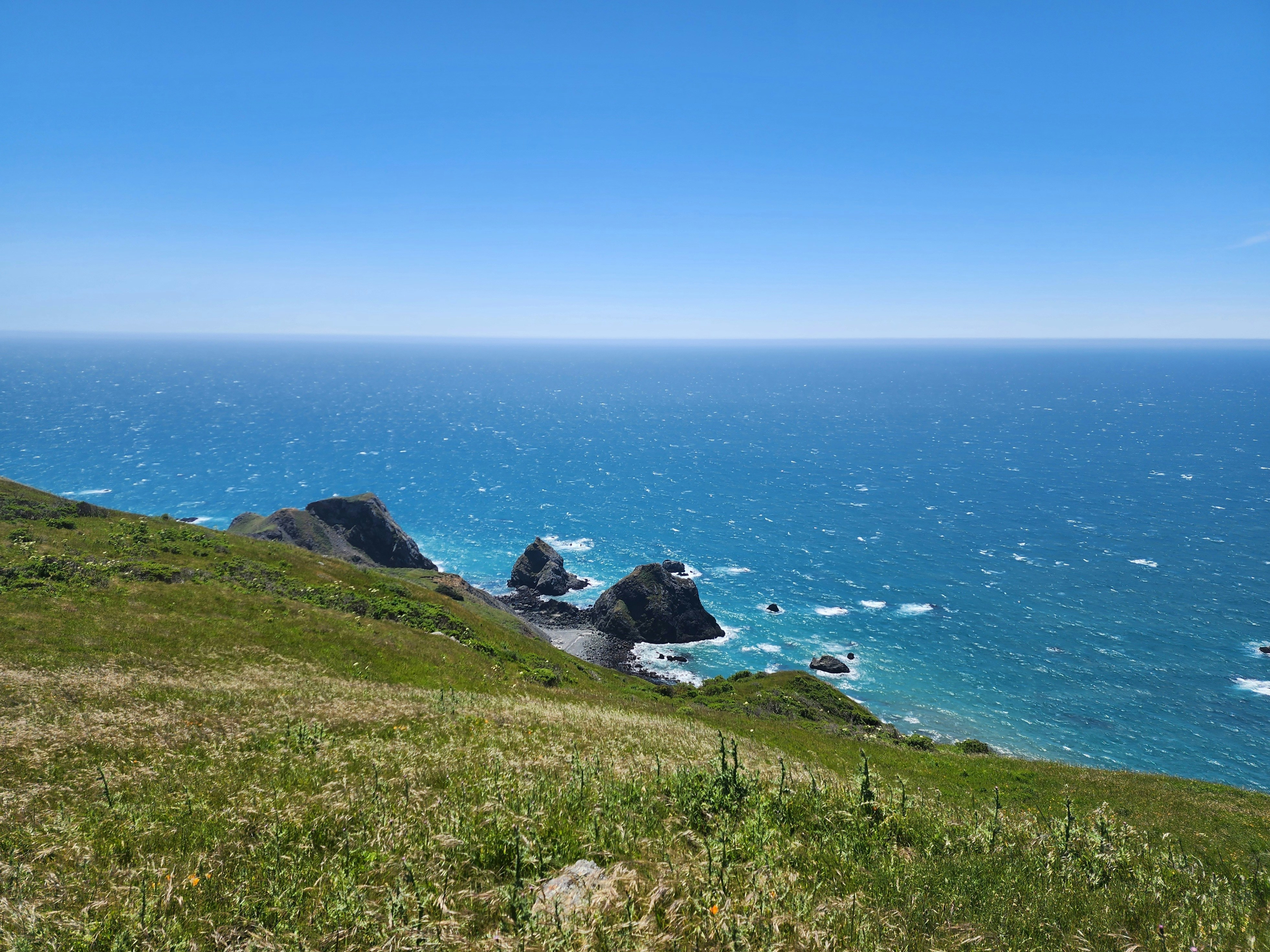 Photo by estephens72