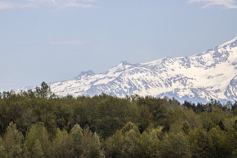 a mountain range with trees in the foreground and a blue sky in the background