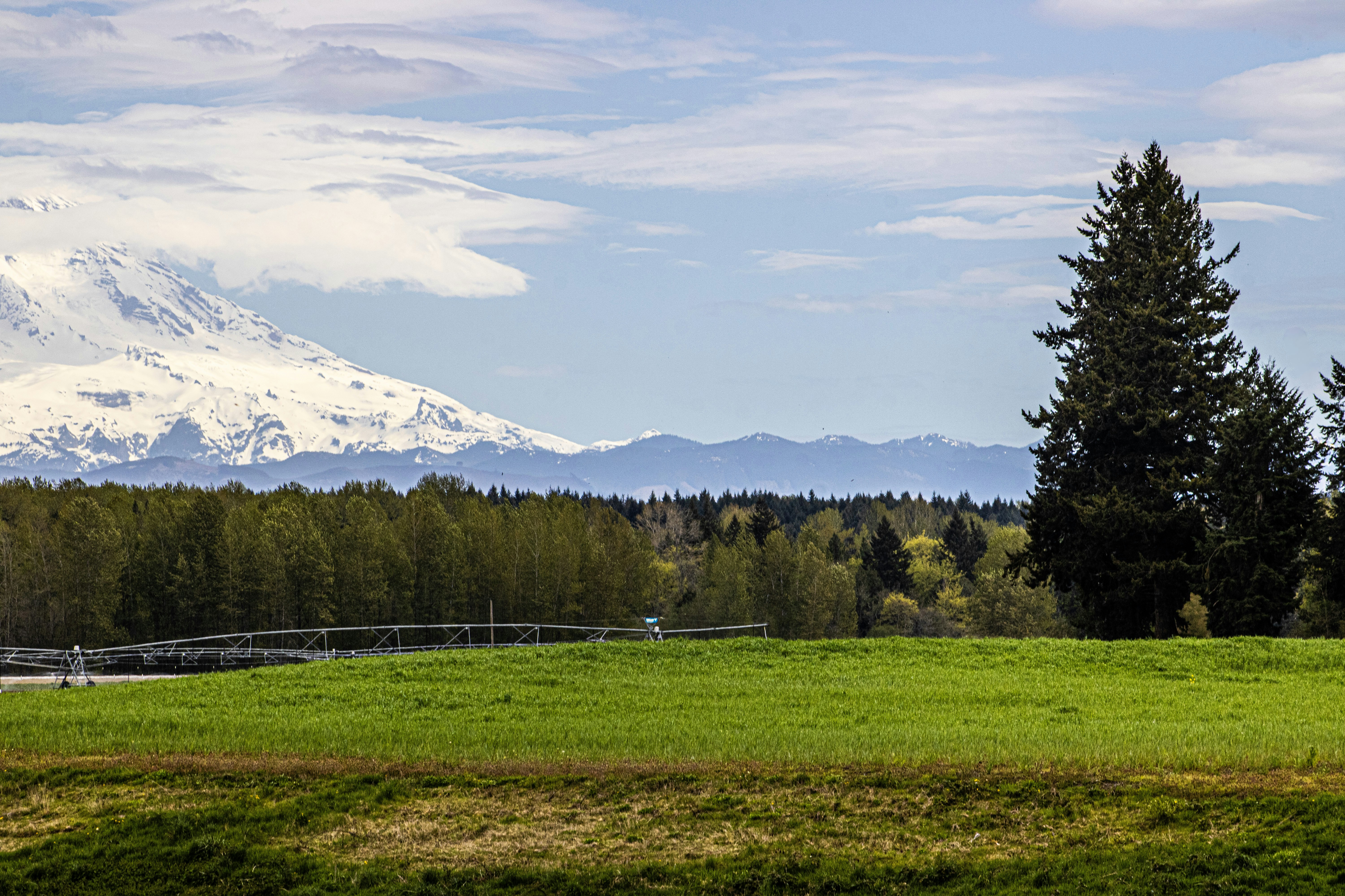 Photo by prphotography262