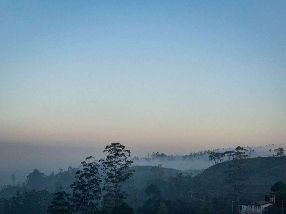 a view of a foggy mountain with trees in the foreground
