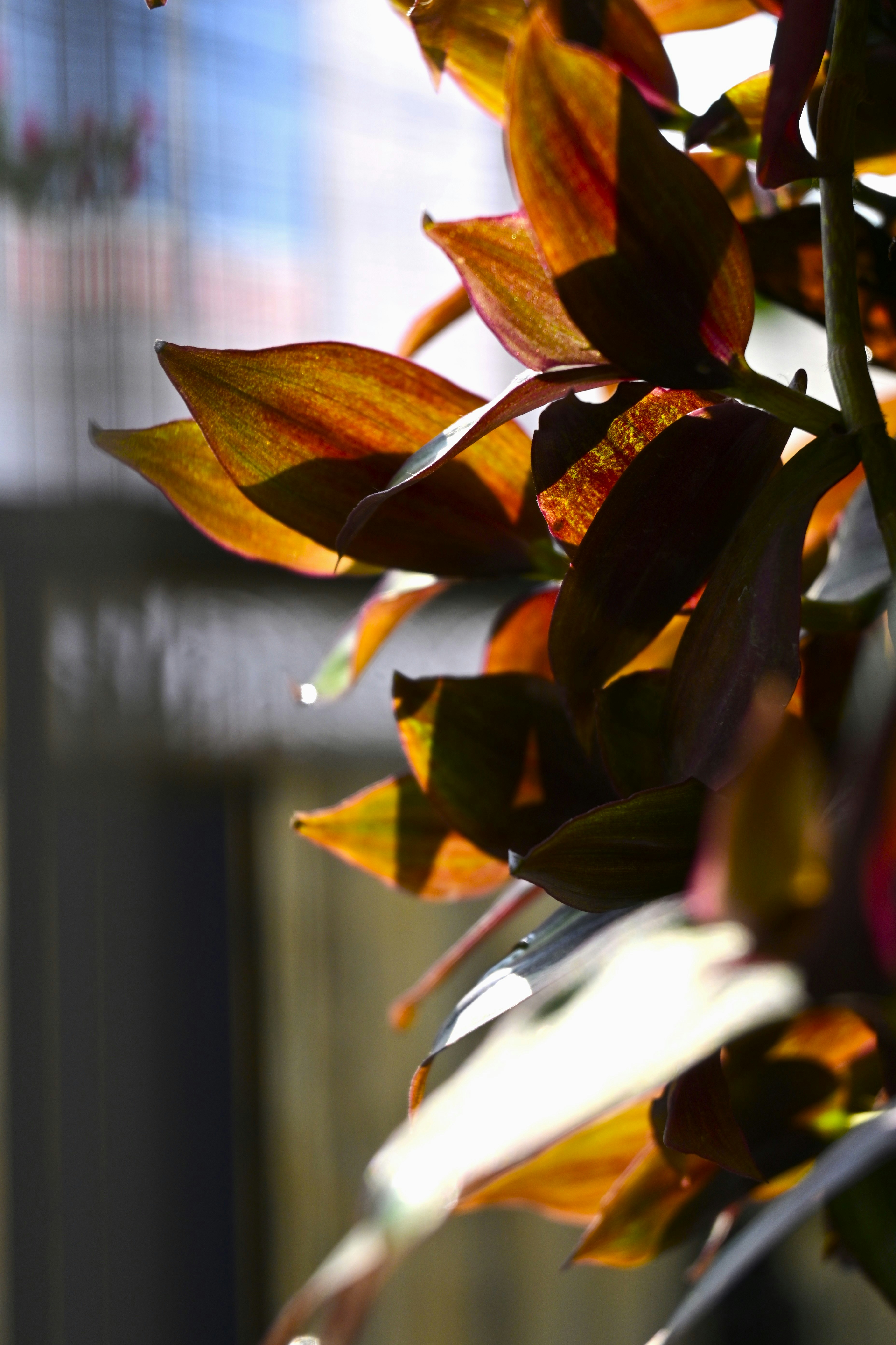 Photo by krishnaktn24