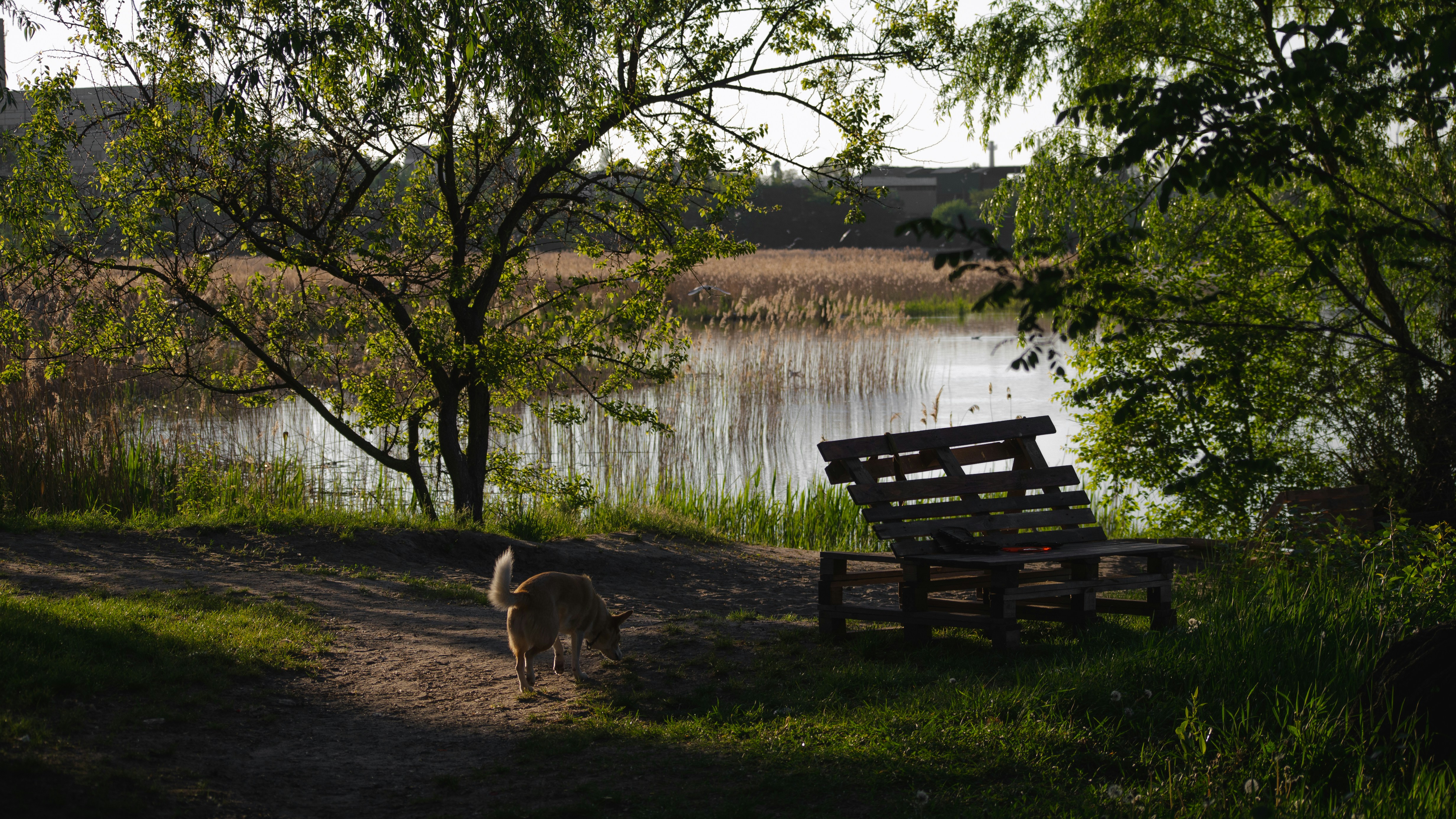 Pheasant Run Park
