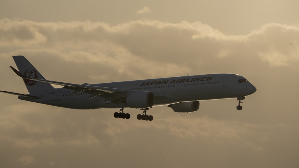 a large jetliner flying through a cloudy sky