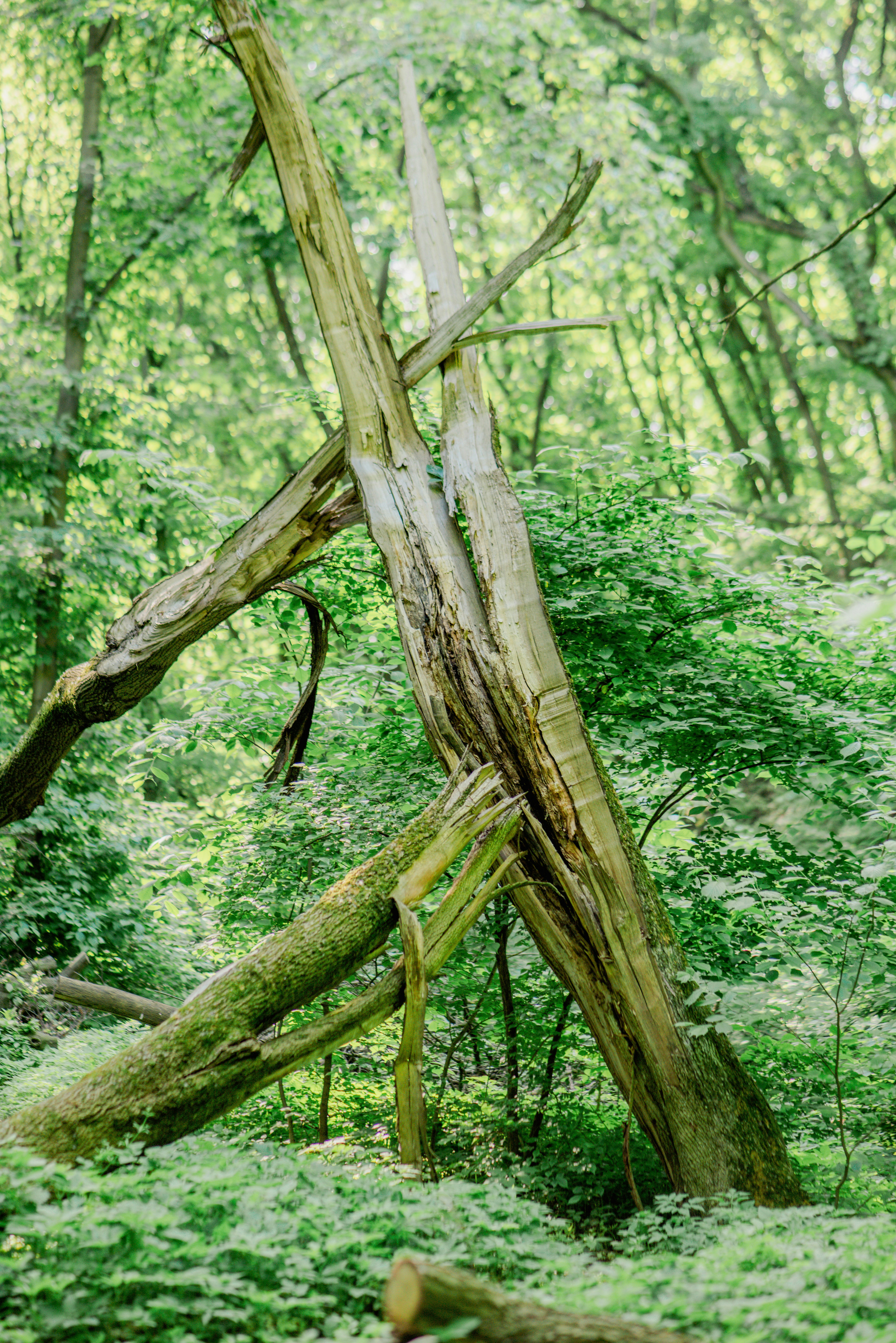 Photo by eugenivy_now