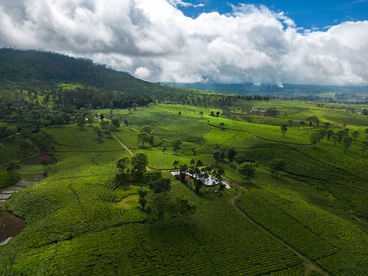 an aerial view of a lush green valley