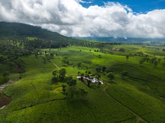 an aerial view of a lush green valley