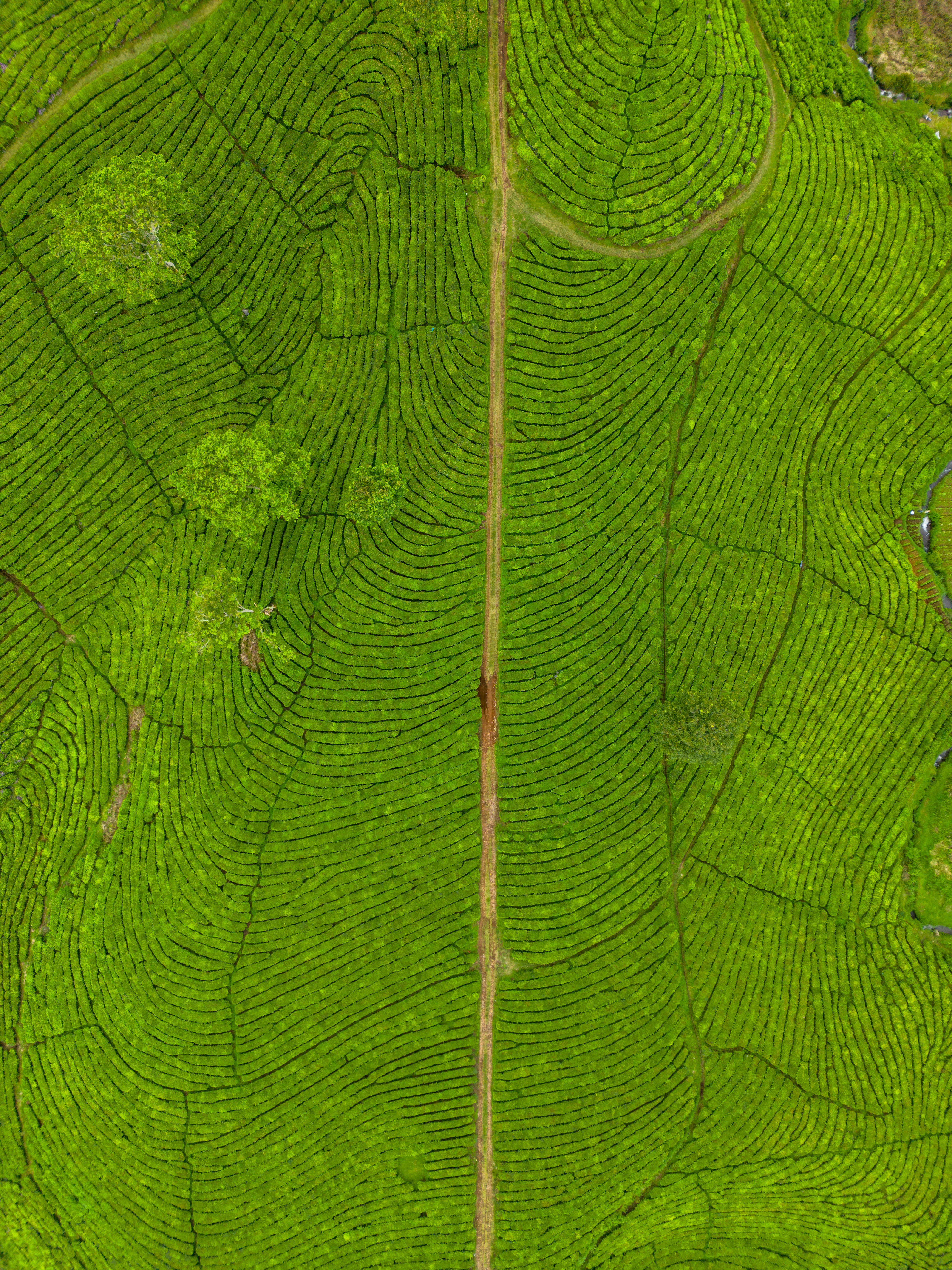 Photo by anicicreativemedia