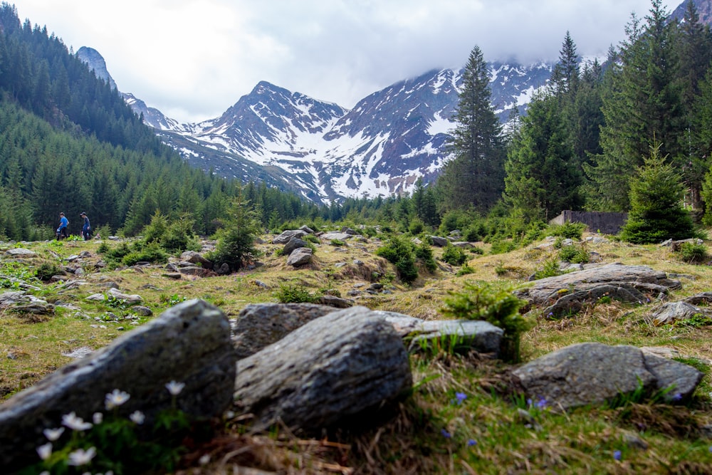 a man hiking through a forest with mountains in the background