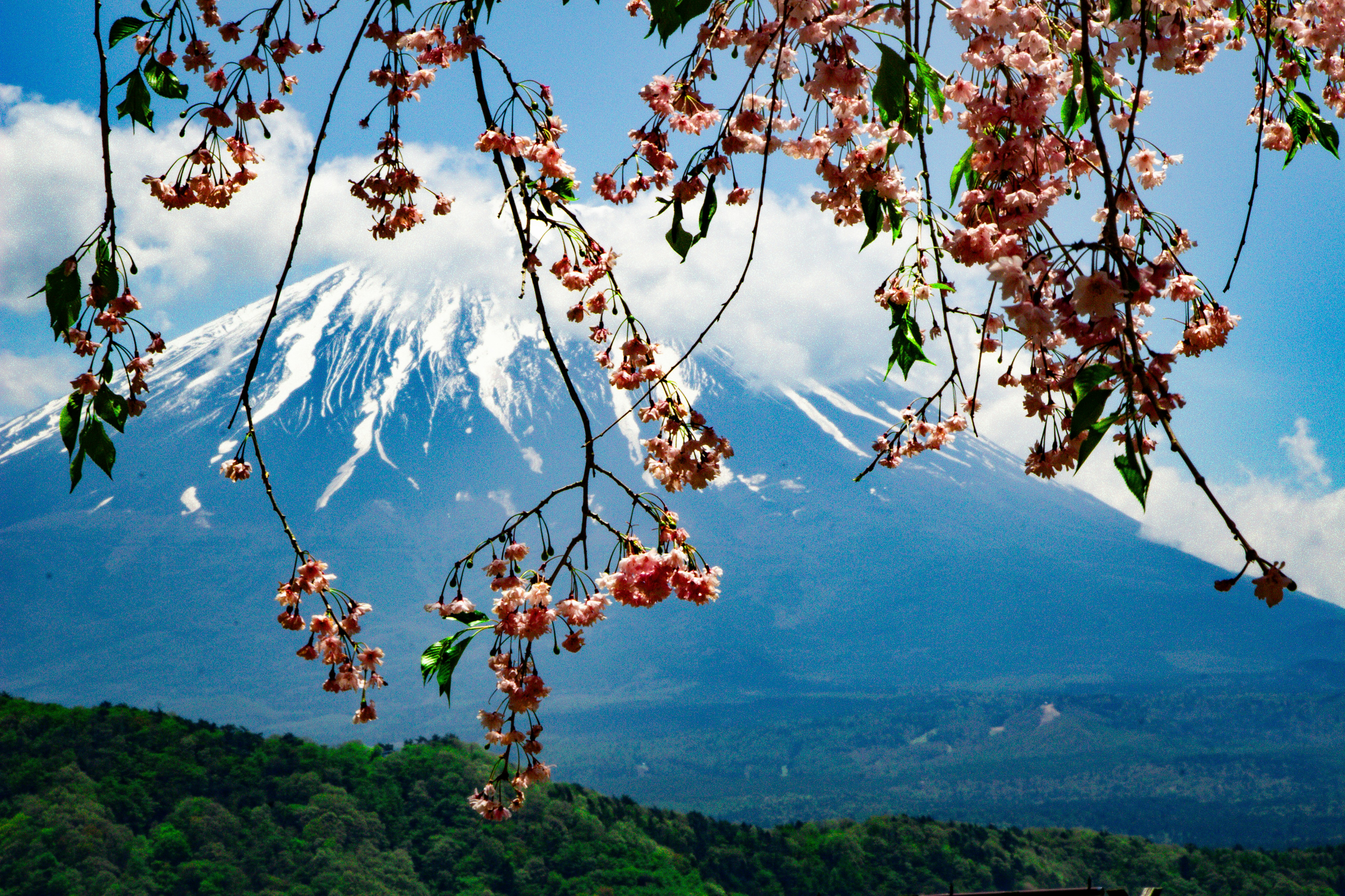 Photo by enkuu