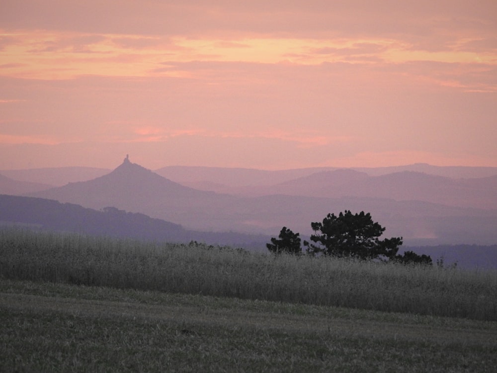 a lone horse standing in a field with mountains in the background