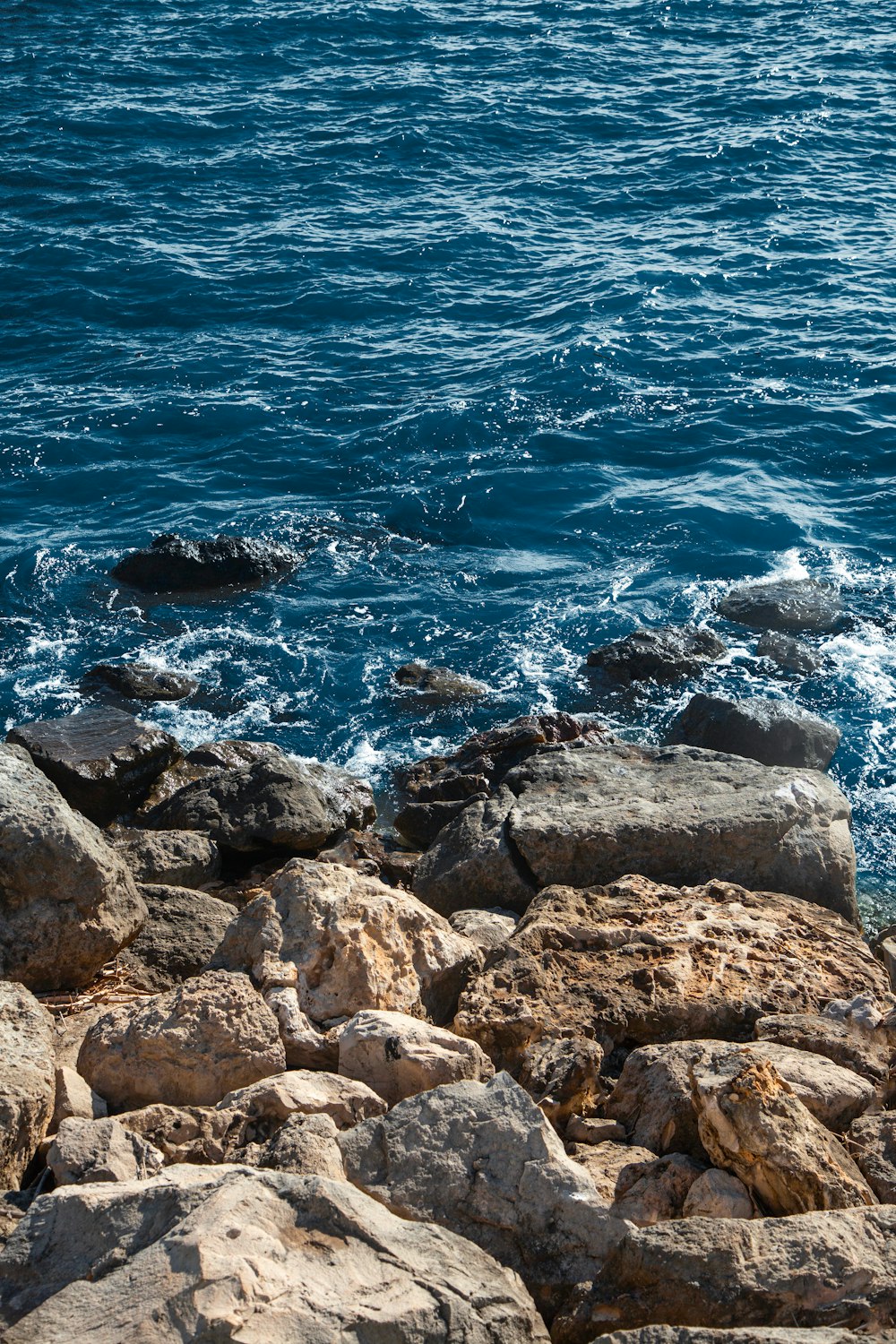 a large body of water sitting next to a rocky shore