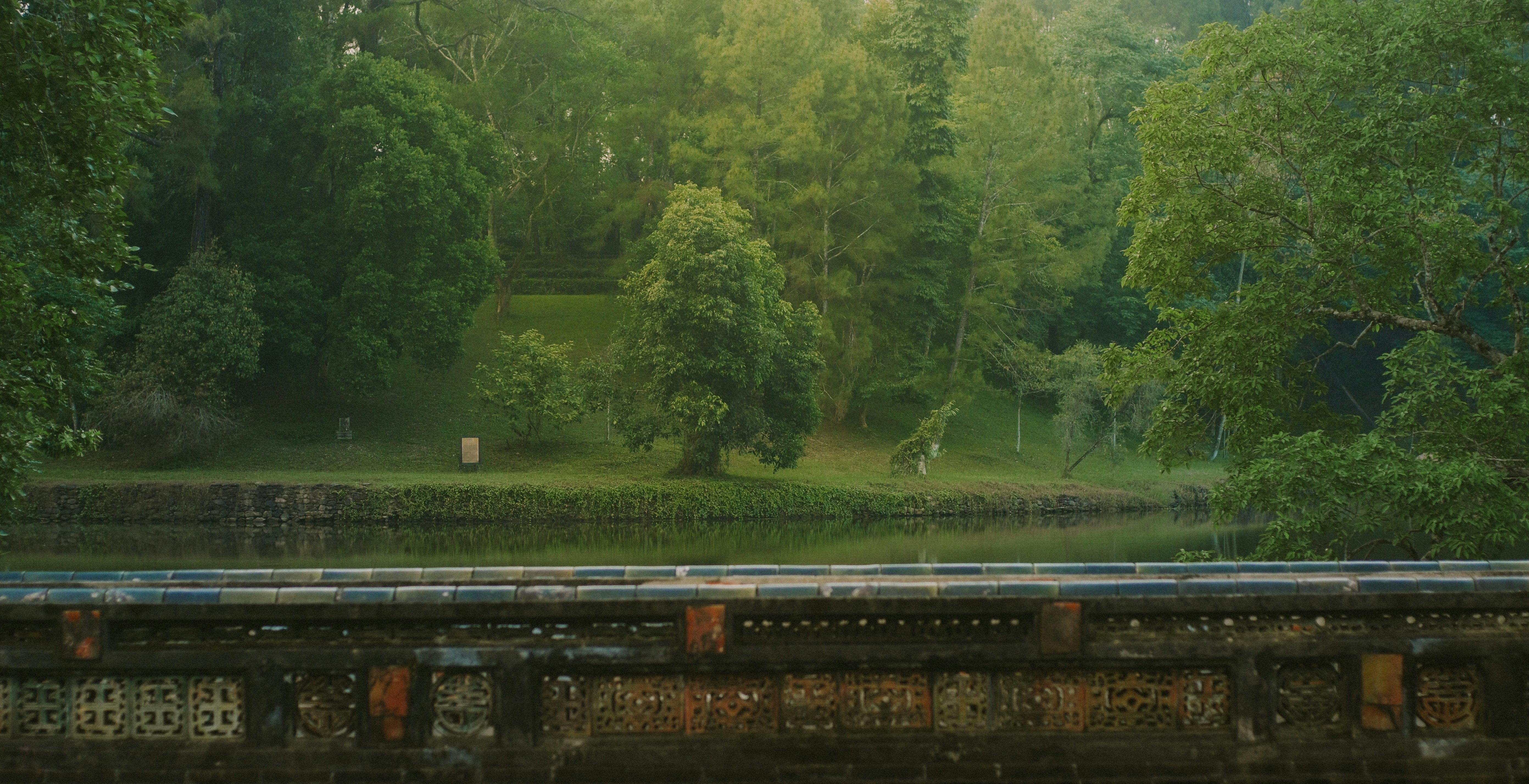a train traveling through a lush green forest